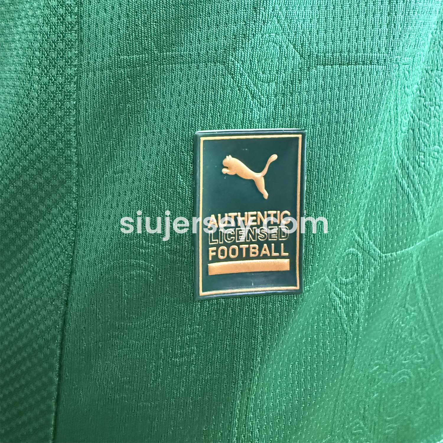 SIUjerseys-Palmeiras 2025-26 Home Jersey - Player Version