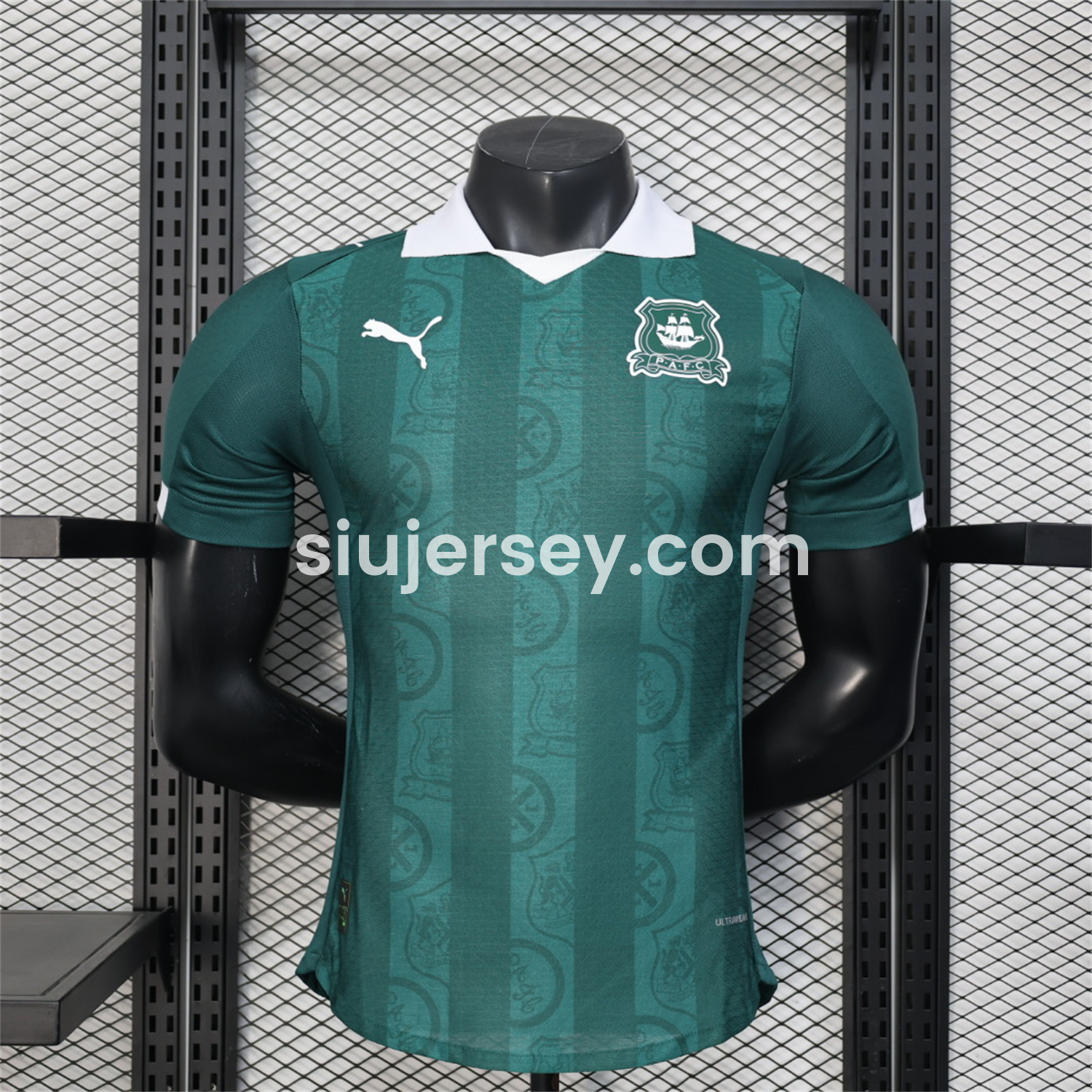SIUjerseys-Plymouth Argyle 25-26 Home Unsponsored Jersey - Player Version