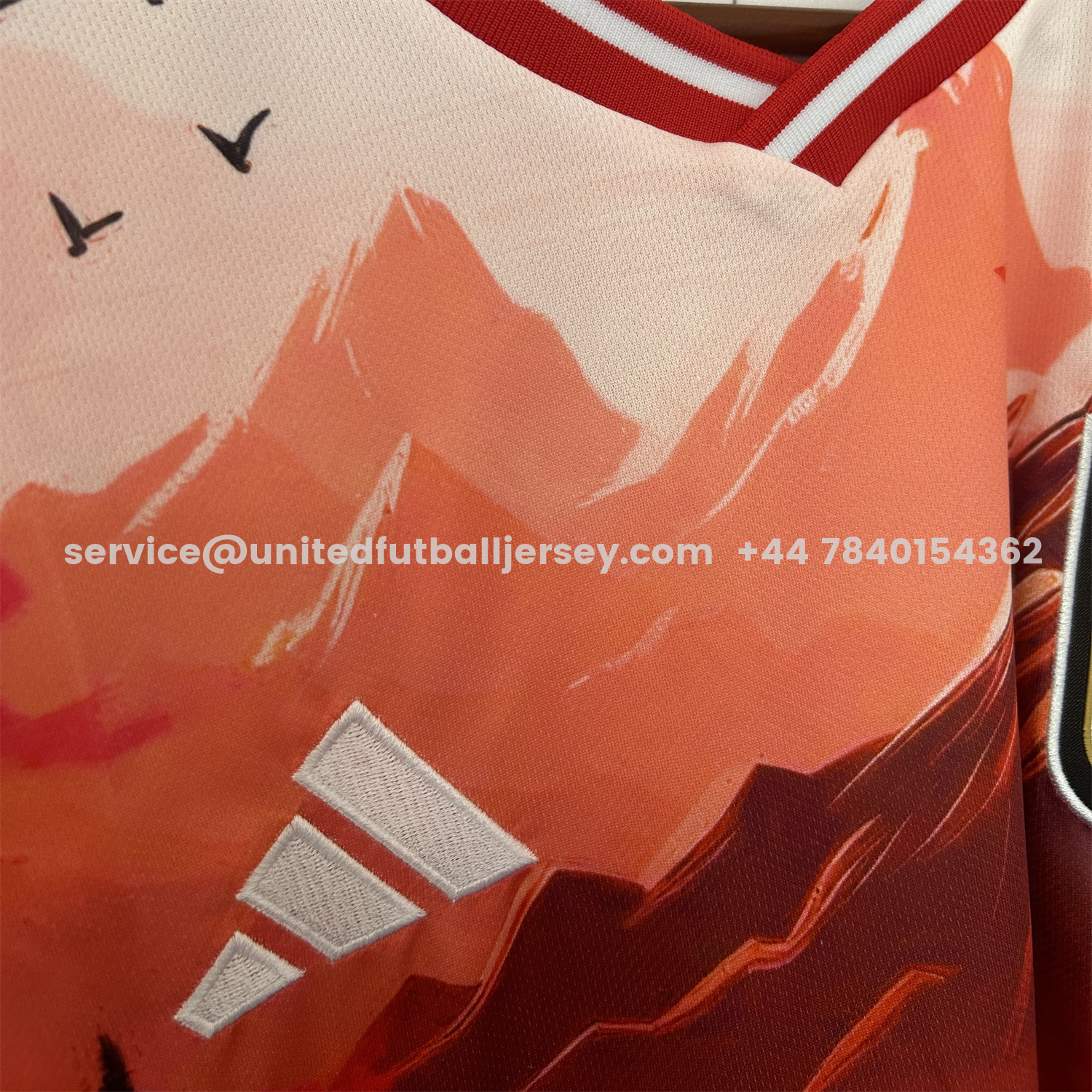 unitedfutballjersey-Japan 25-26 Red Mountains & River & Tower Special Jersey - Fans Version