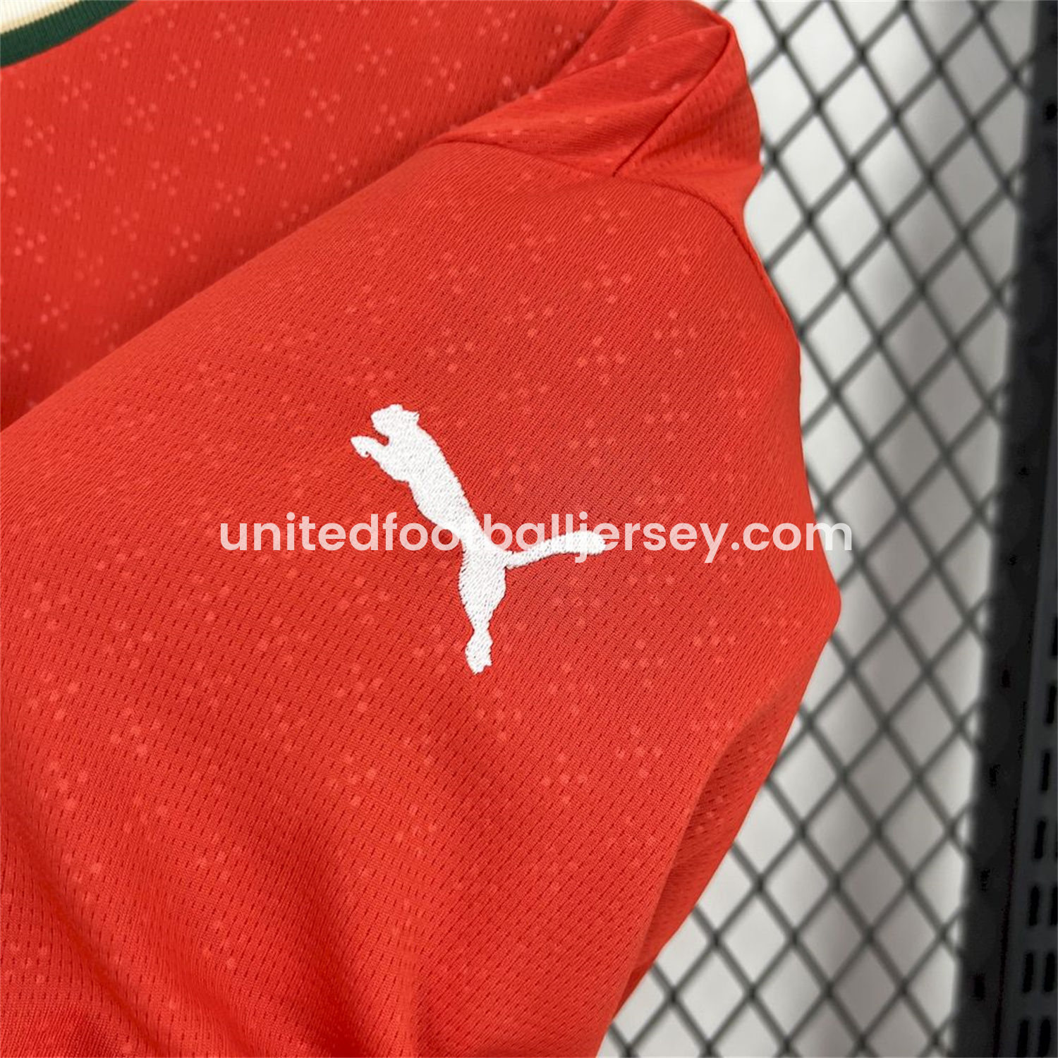 unitedfutballjersey-Portugal 2025-26 Home Long Sleeve Jersey - Fans Version