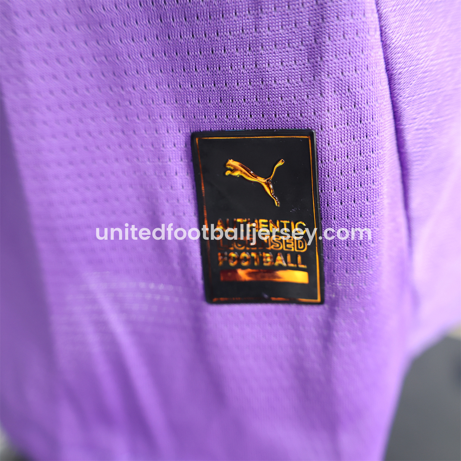 unitedfutballjersey-Dortmund 24-25 Purple Goalkeeper Special Edition Jersey - Player Version