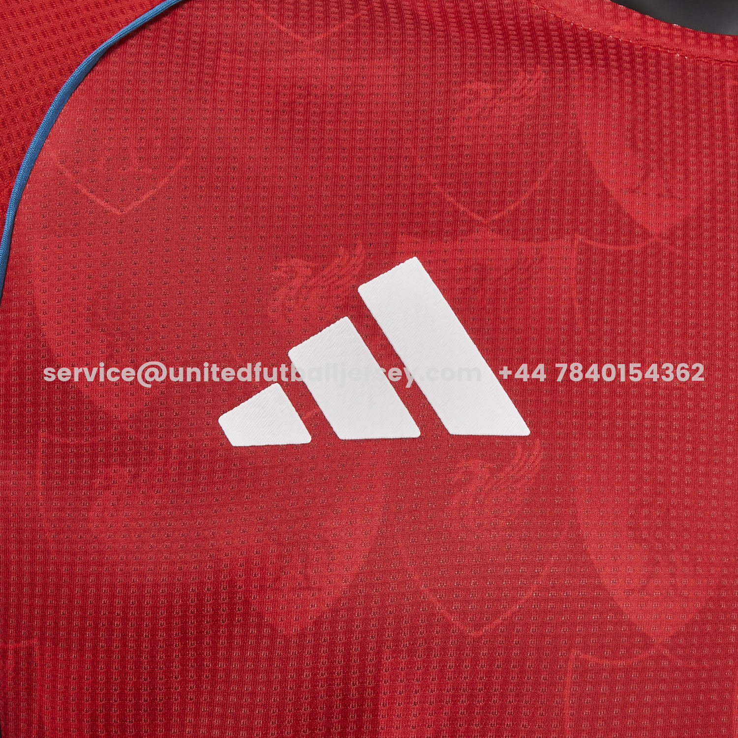 unitedfutballjersey-Liver.pool 25-26 Retro Team Logo Totem Special Jersey - Player Version