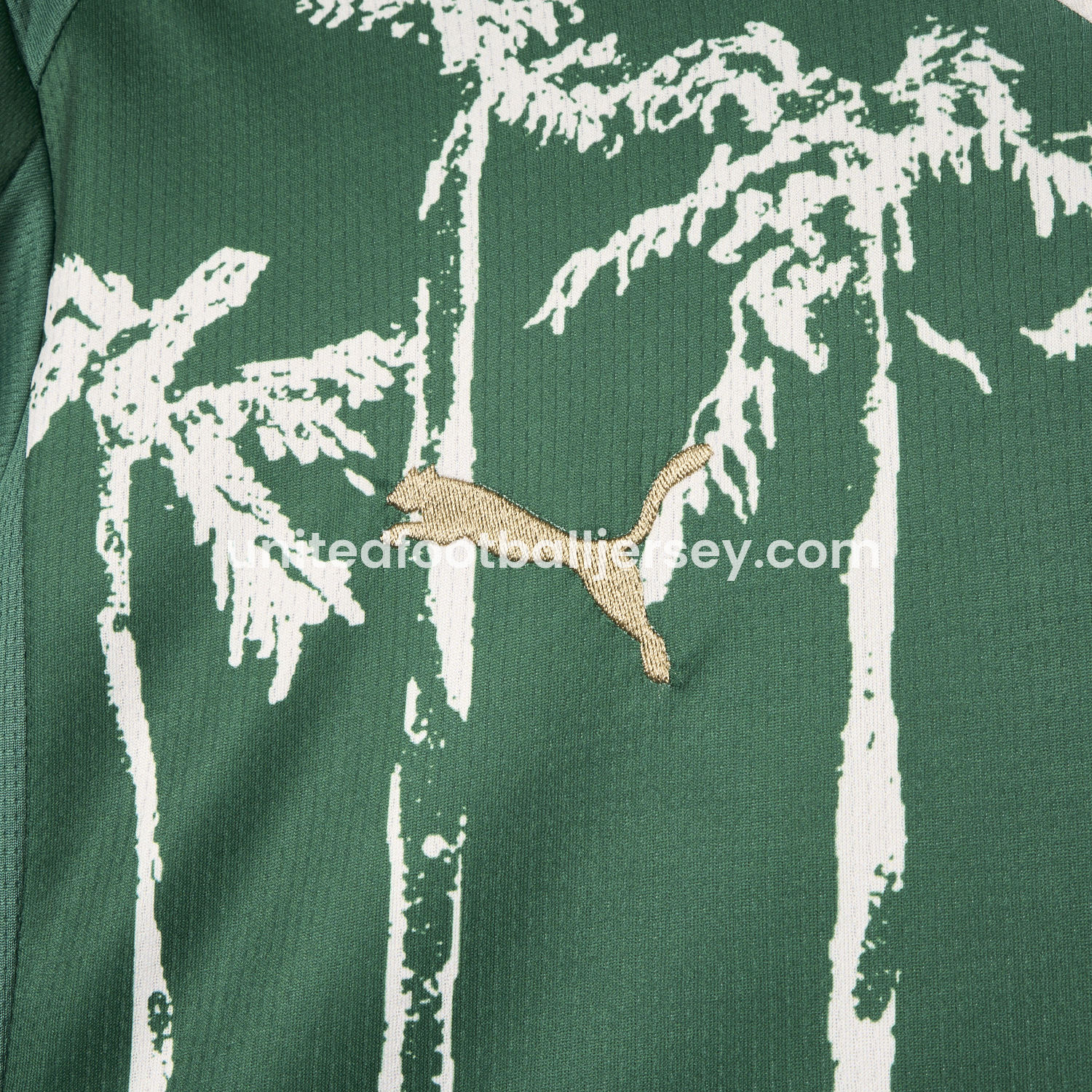 unitedfutballjersey-Palmeiras 2025 Club World Cup Home Jersey - Fans Version