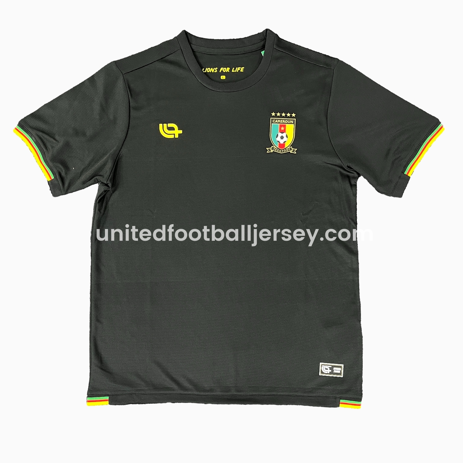 unitedfutballjersey-Cameroon 25-26 Black Training Jersey - Fans Version