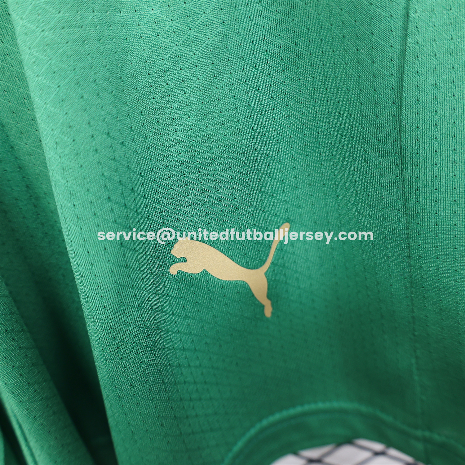 unitedfutballjersey-Morocco 2026 Home Green Shorts - Player Version