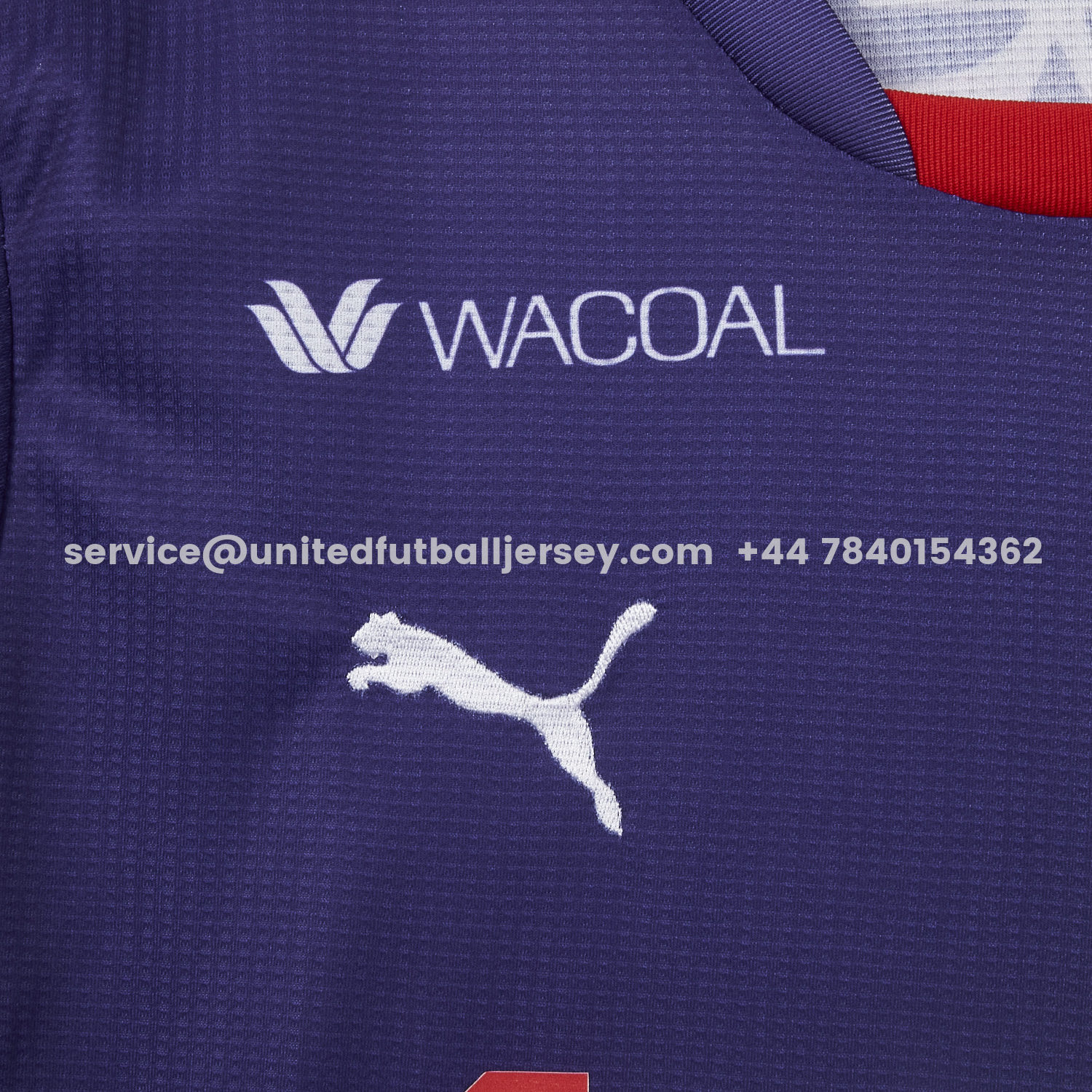 unitedfutballjersey-Kyoto Sanga 25-26 Home Jersey - Fans Version