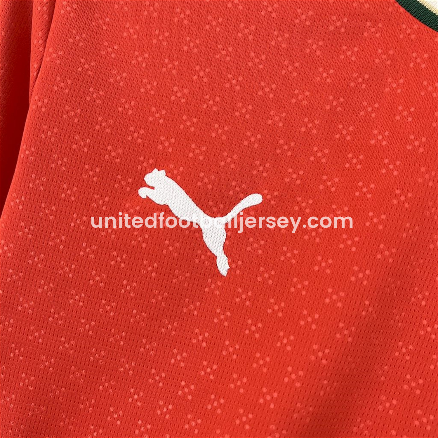 unitedfutballjersey-Portugal 2025-26 Home Long Sleeve Jersey - Fans Version