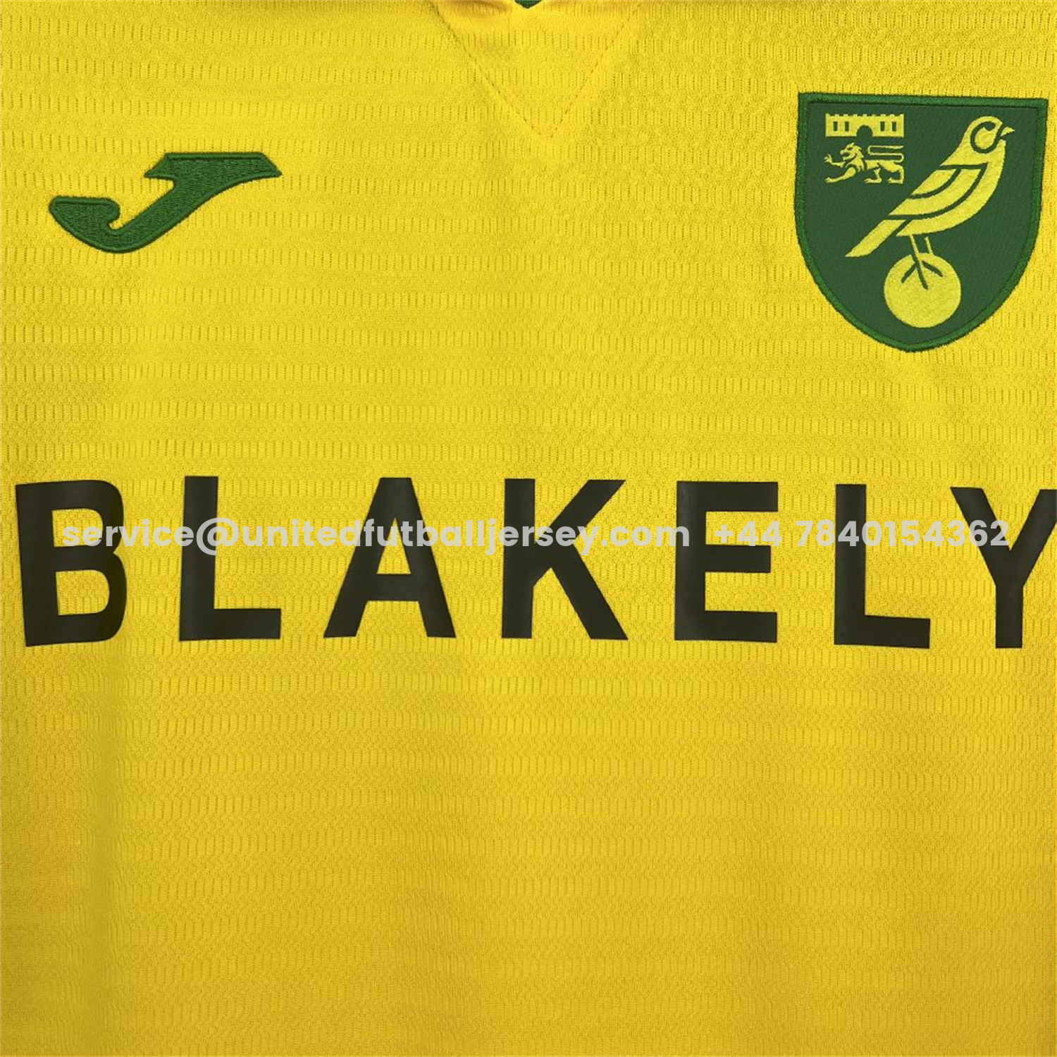 unitedfutballjersey-Norwich City 25-26 Home Jersey - Fans Version