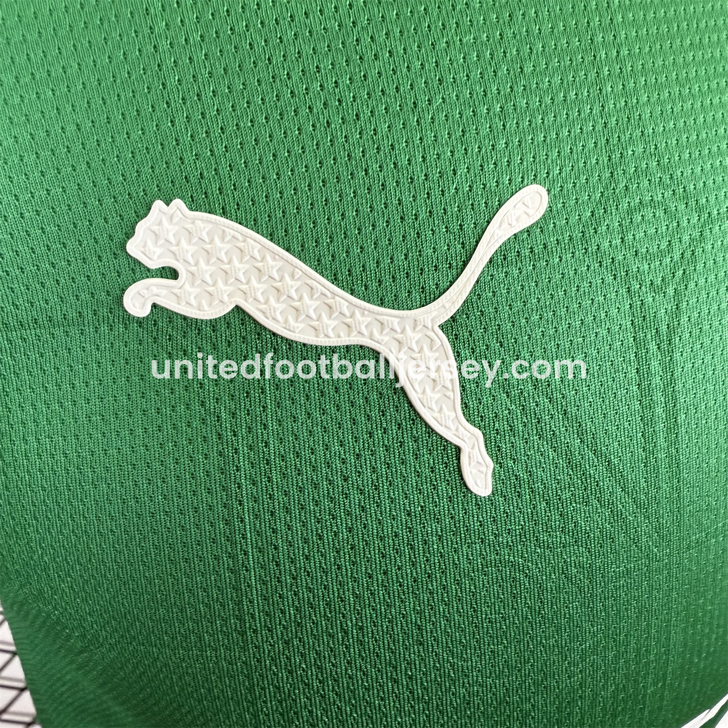 unitedfutballjersey-Palmeiras 2025-26 Home Jersey - Player Version