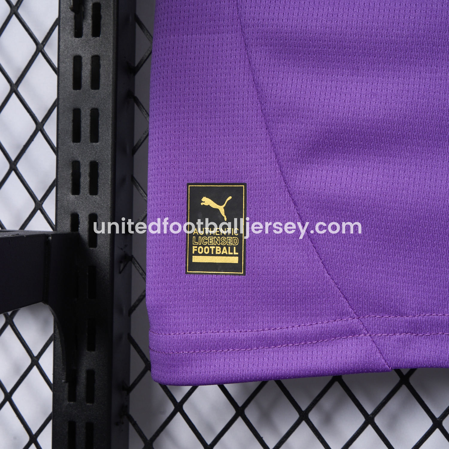 unitedfutballjersey-Dortmund 24-25 Purple Goalkeeper Special Edition Jersey - Fans Version