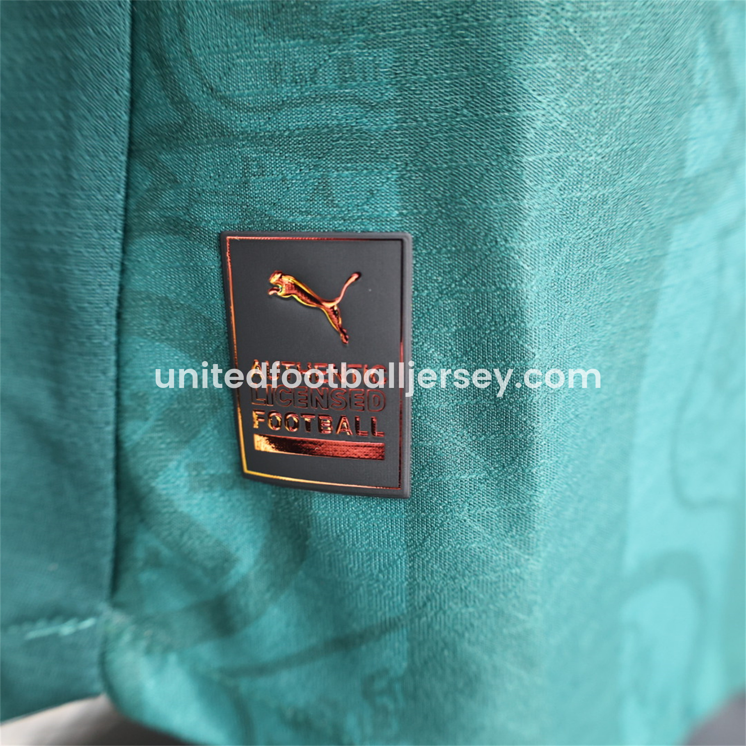 unitedfutballjersey-Plymouth Argyle 25-26 Home Unsponsored Jersey - Player Version