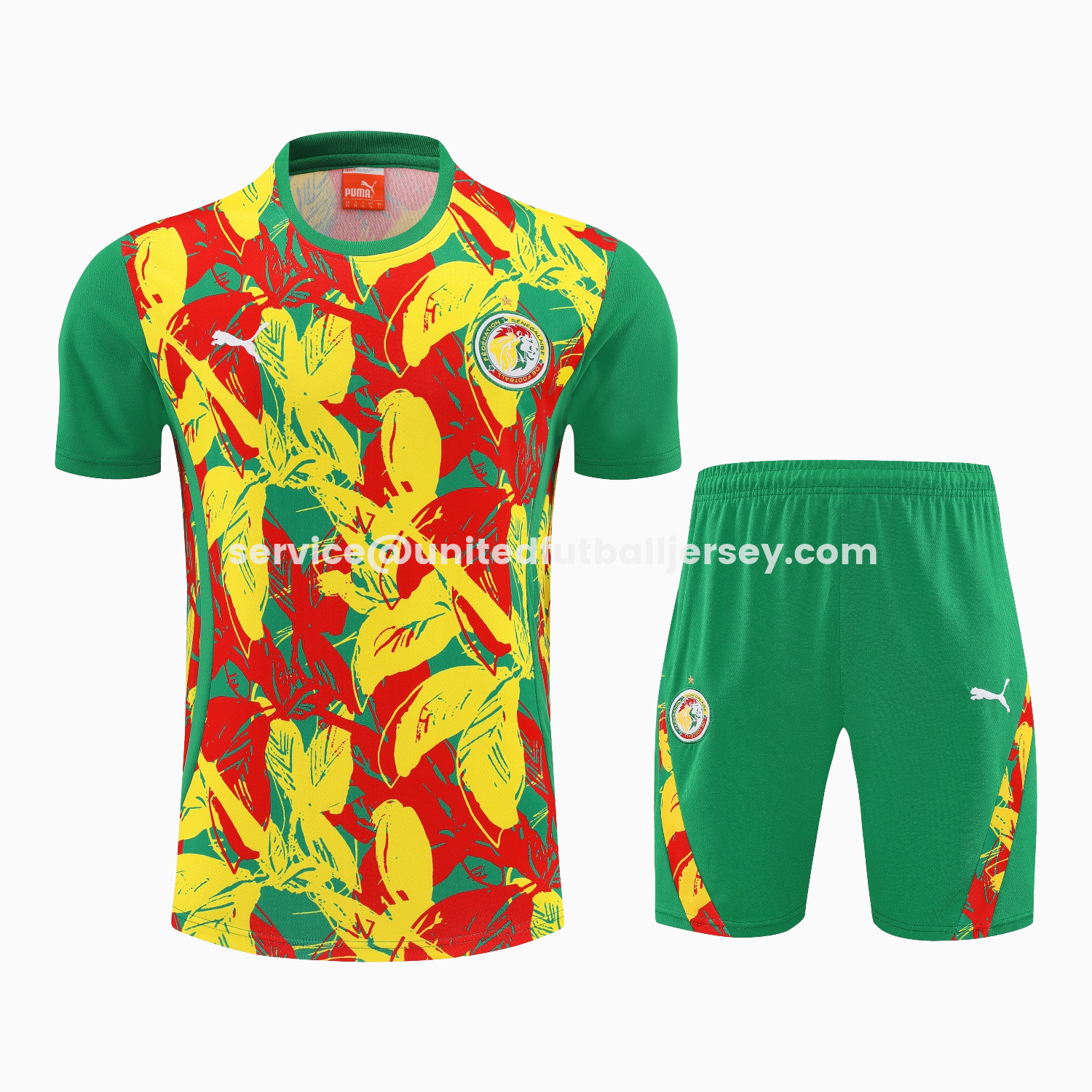unitedfutballjersey-Senegal 2026 Short-Sleeve Training Set - Variegated Top and Green Shorts