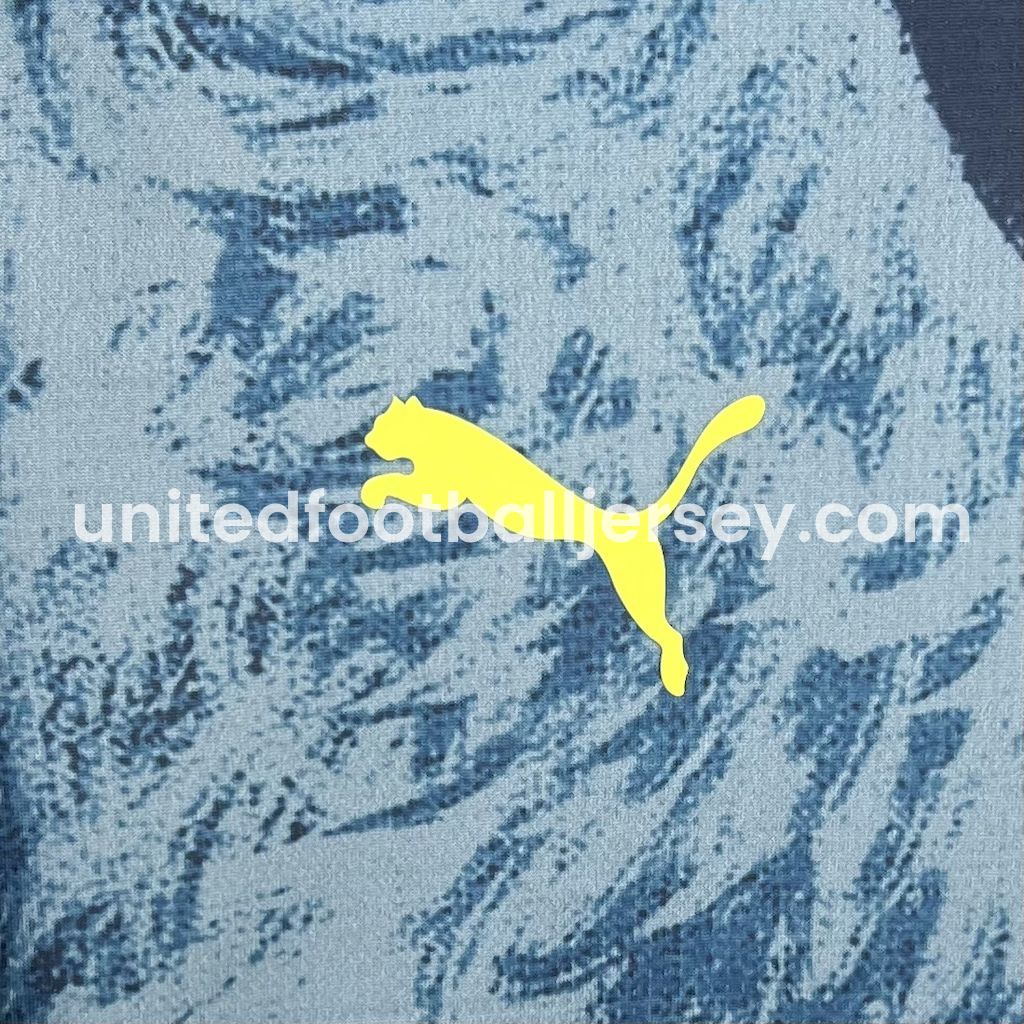 unitedfutballjersey-Fenerbahce 24-25 Fourth Jersey - Fans Version