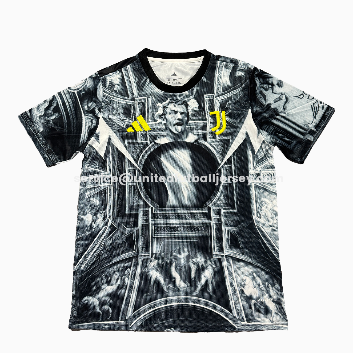 unitedfutballjersey-Juventus 25-26 Pre-Match Training Jersey - Fans Version