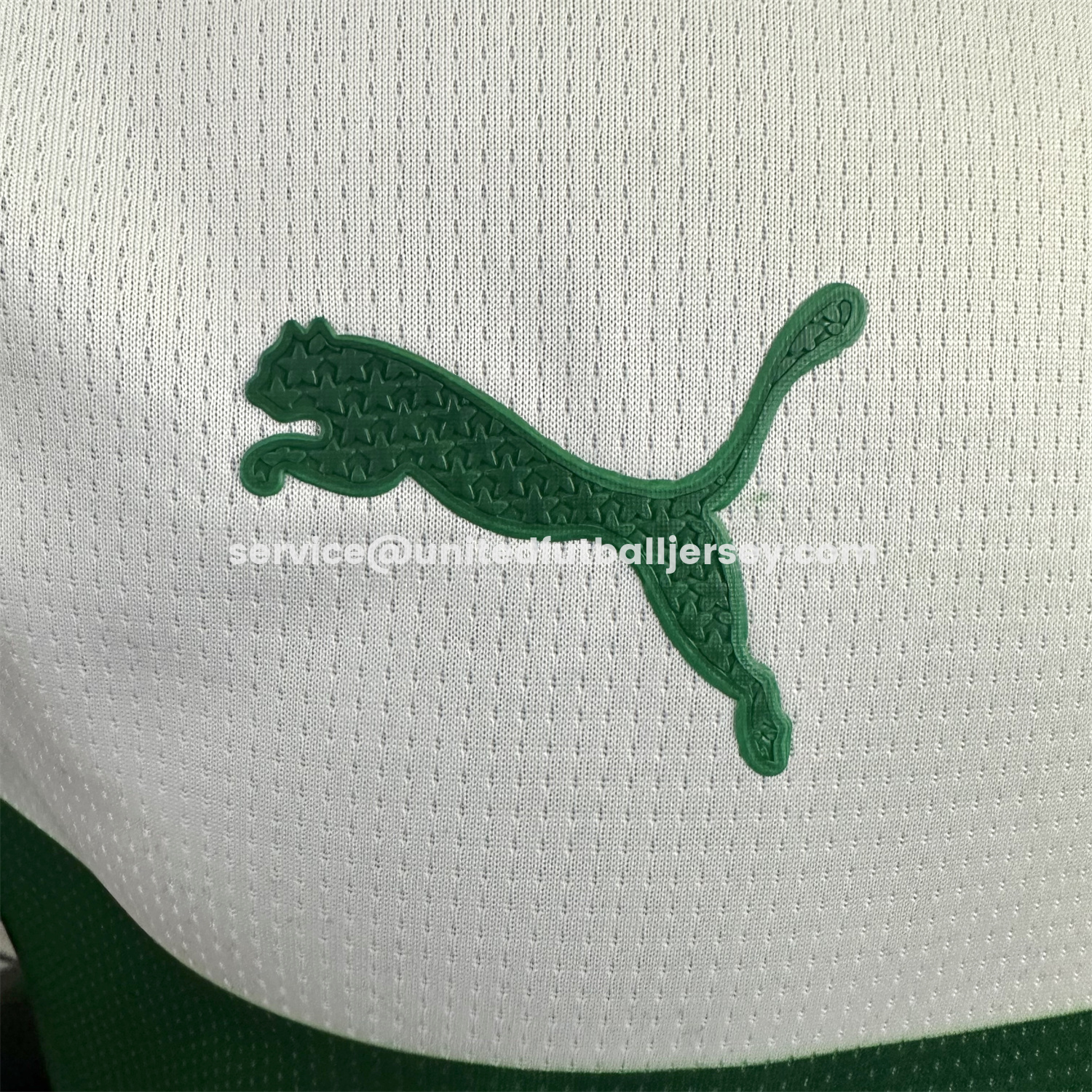 unitedfutballjersey-Palmeiras 25-26 Avanti Commemorative Jersey - Player Version