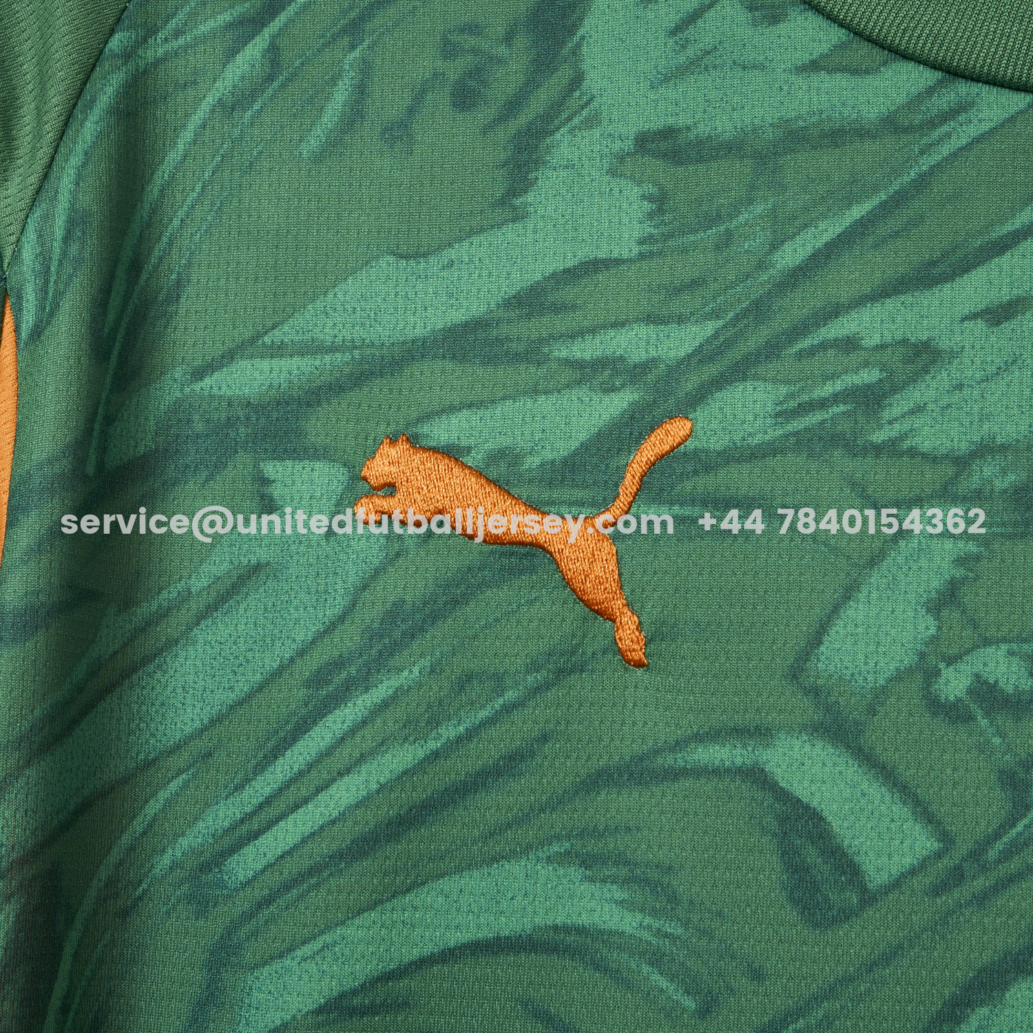 unitedfutballjersey-Dortmund 25-26 Green Goalkeeper Jersey - Fans Version