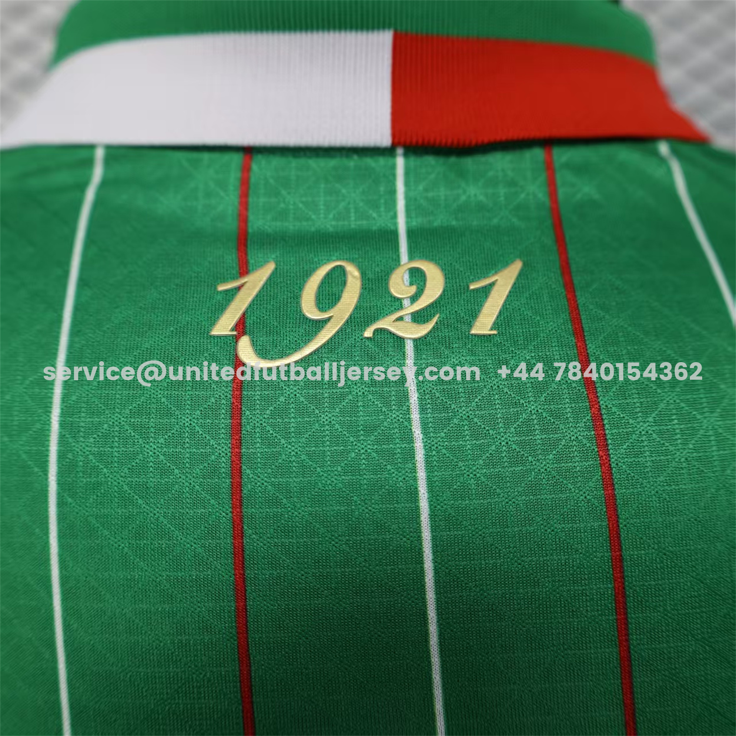 unitedfutballjersey-Club Deportivo Palestino Palestine 25-26 Green Special Jersey - Player Version