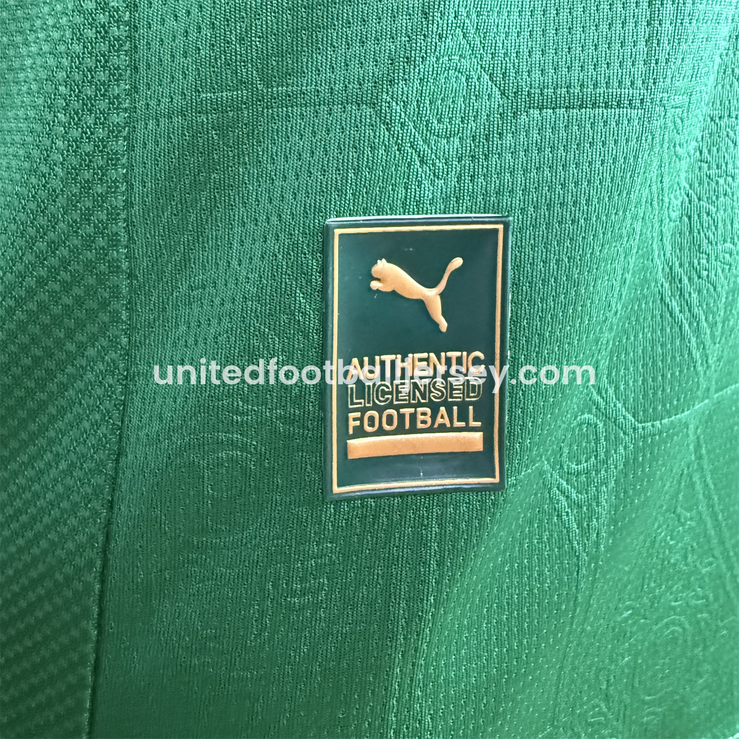 unitedfutballjersey-Palmeiras 2025-26 Home Jersey - Player Version