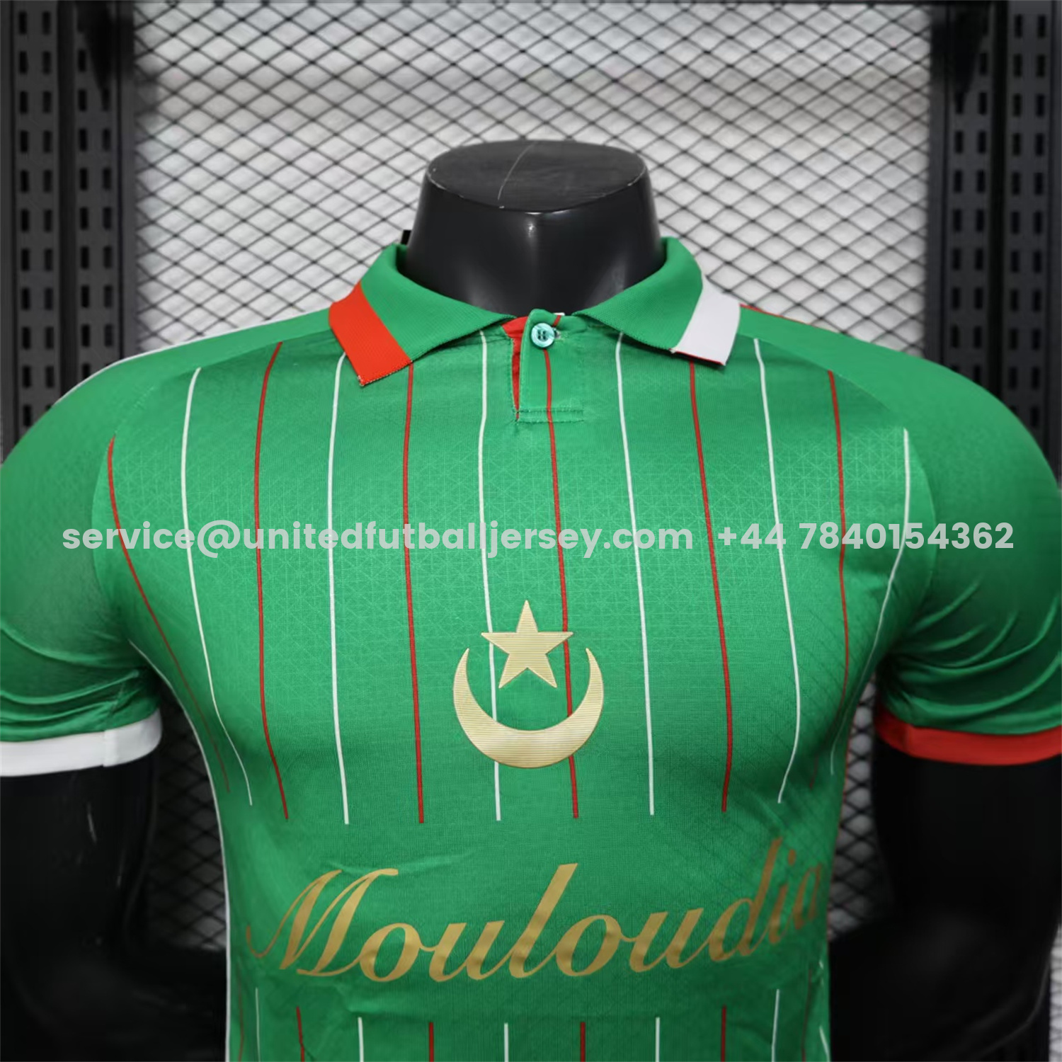 unitedfutballjersey-Club Deportivo Palestino Palestine 25-26 Green Special Jersey - Player Version