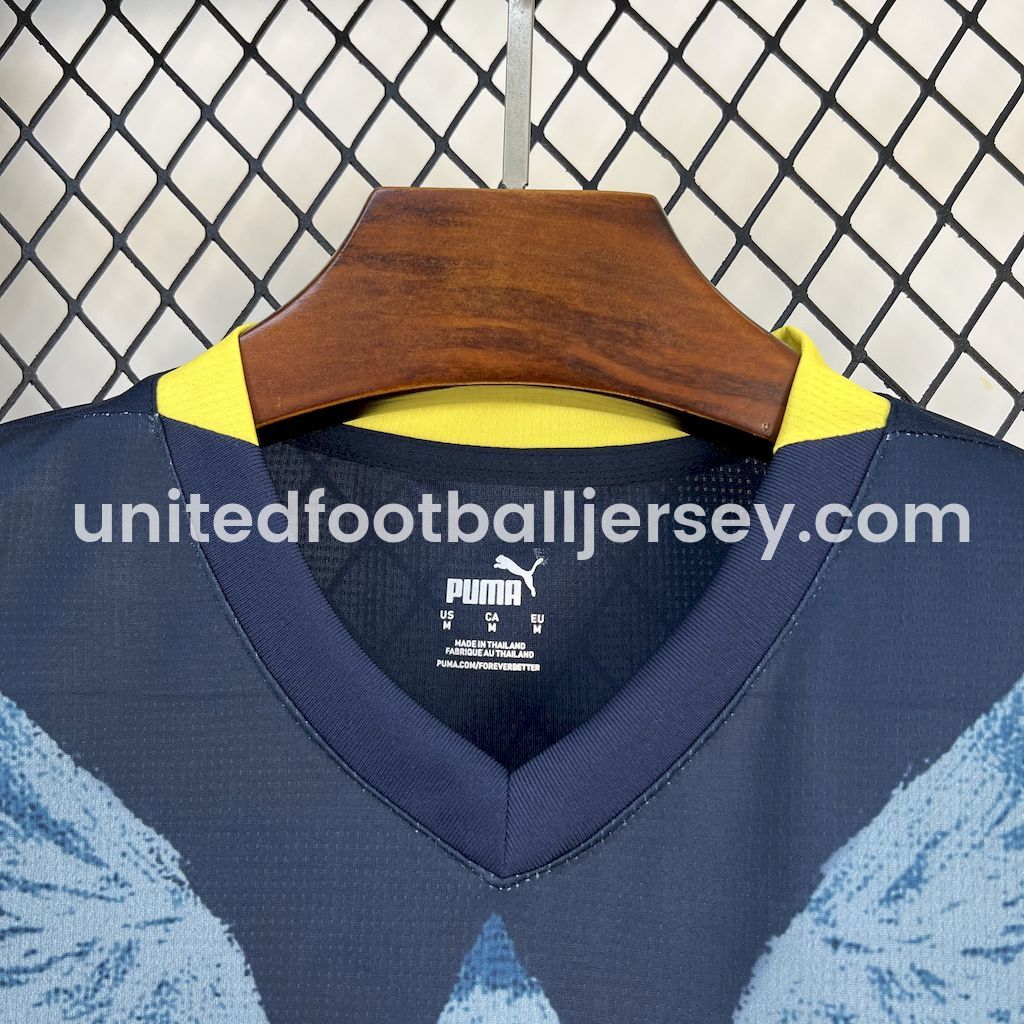 unitedfutballjersey-Fenerbahce 24-25 Fourth Jersey - Fans Version
