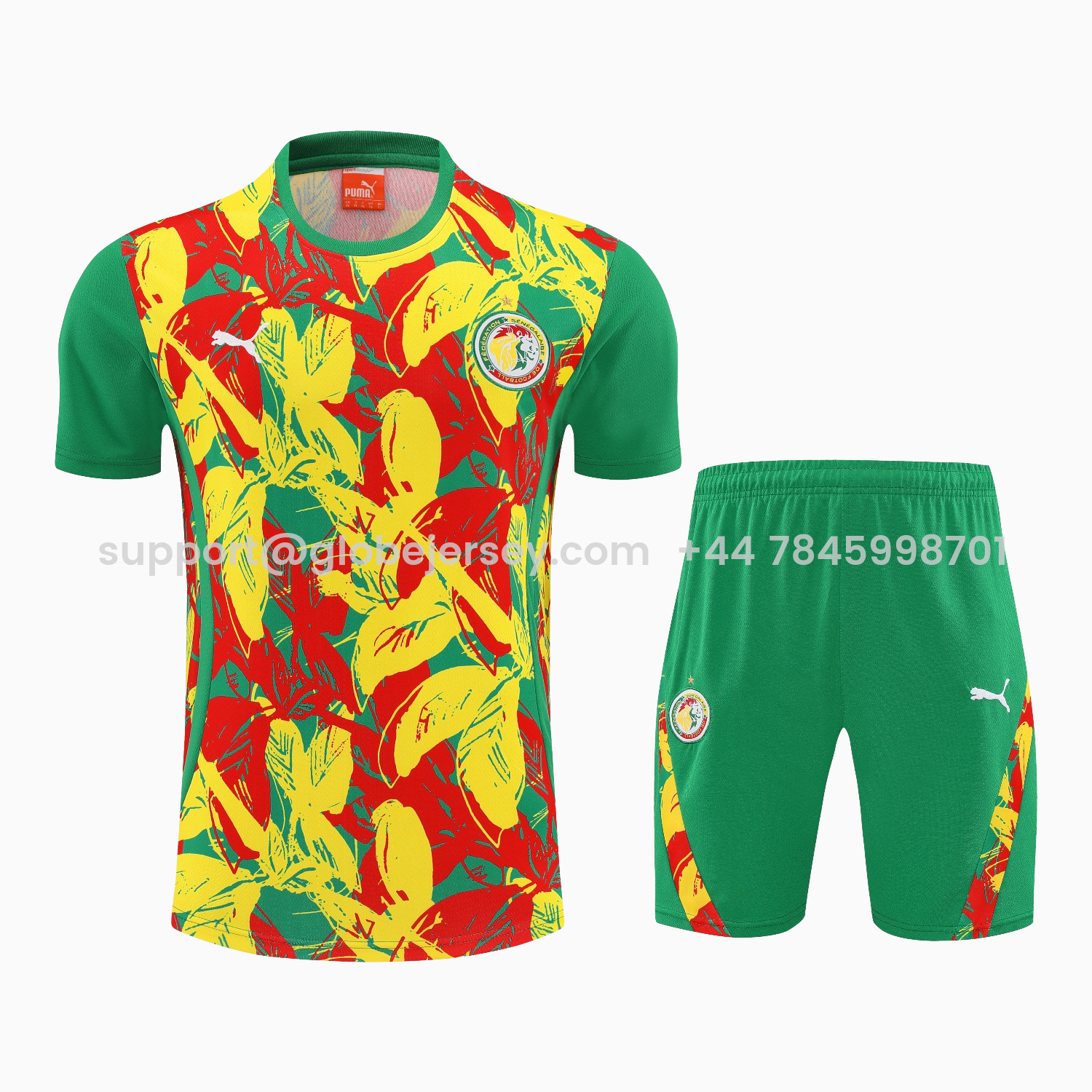 GlobeJersey-Senegal 2026 Short-Sleeve Training Set - Variegated Top and Green Shorts