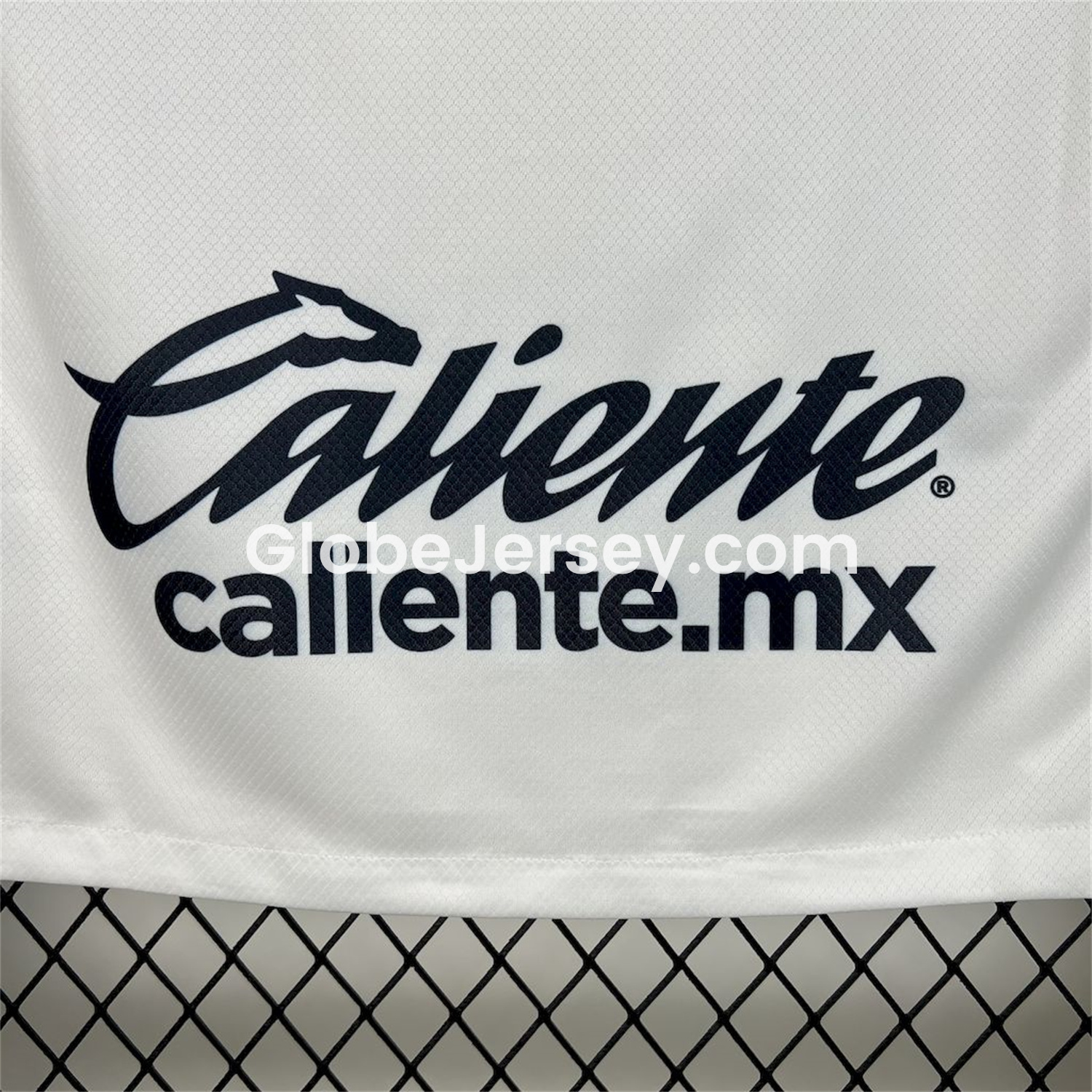 GlobeJersey-Pumas UNAM 25-26 Home Jersey - Fans Version