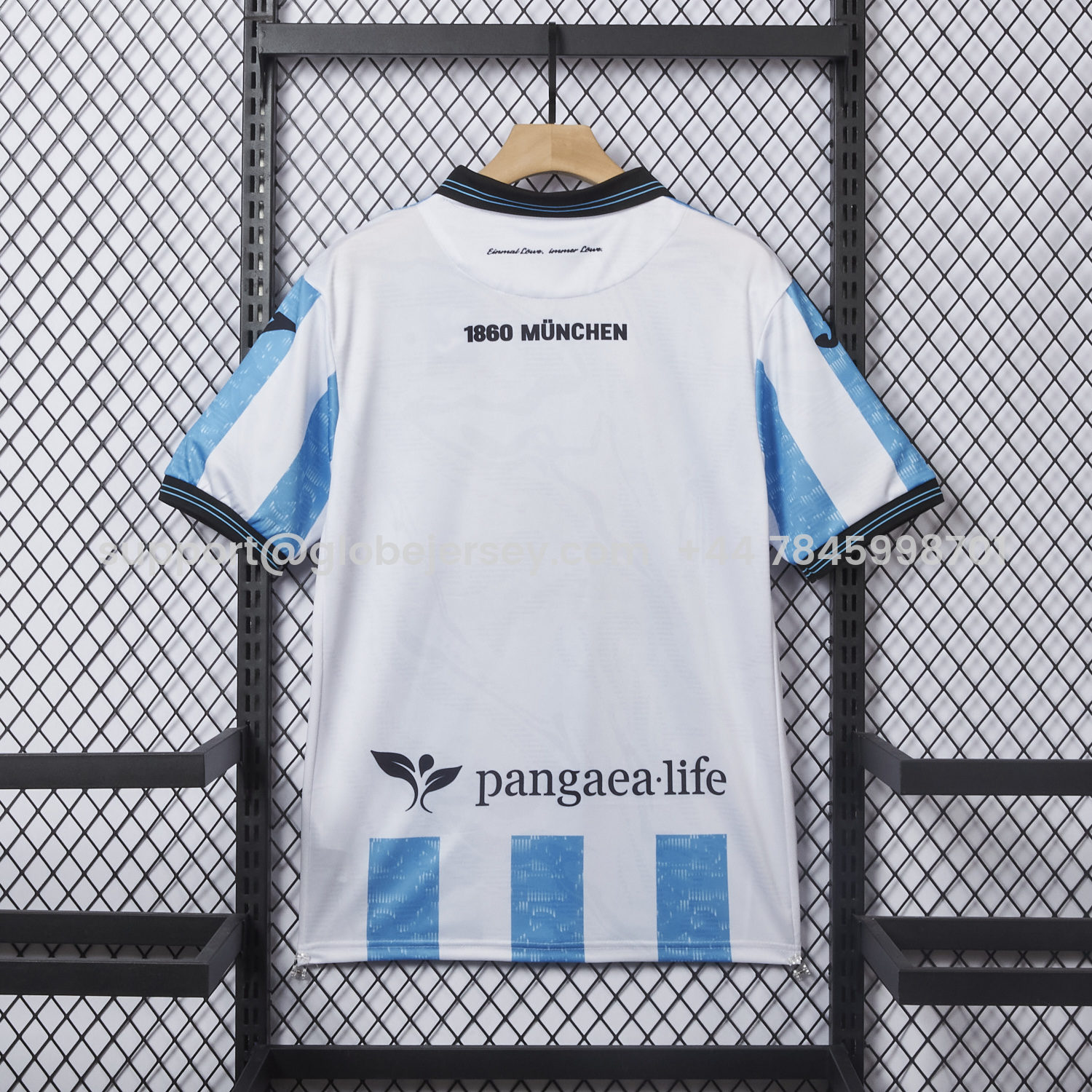 GlobeJersey-TSV 1860 München Munich 25-26 Blue And White Stripes Home Jersey - Fans Version