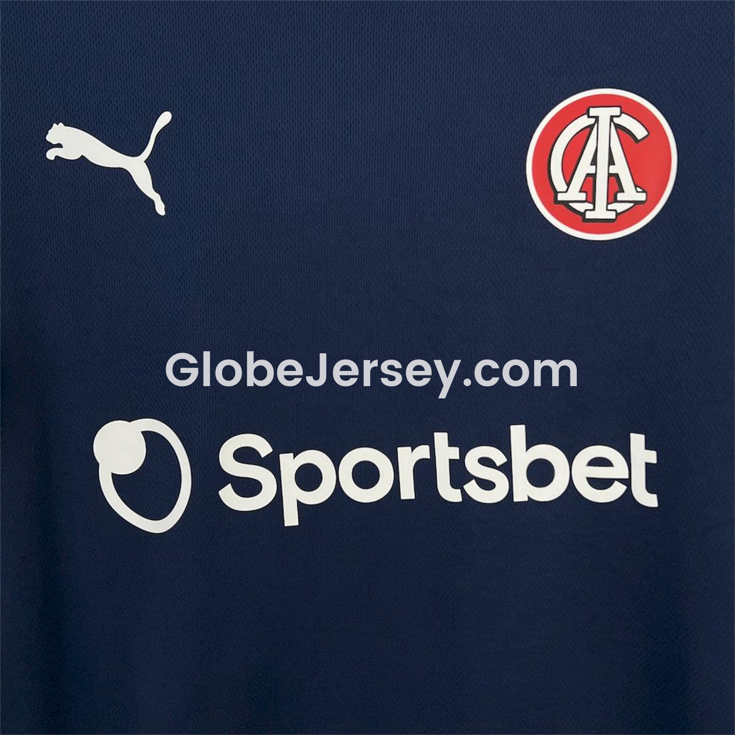 GlobeJersey-CA Independiente 25-26 Third Jersey - Fans Version