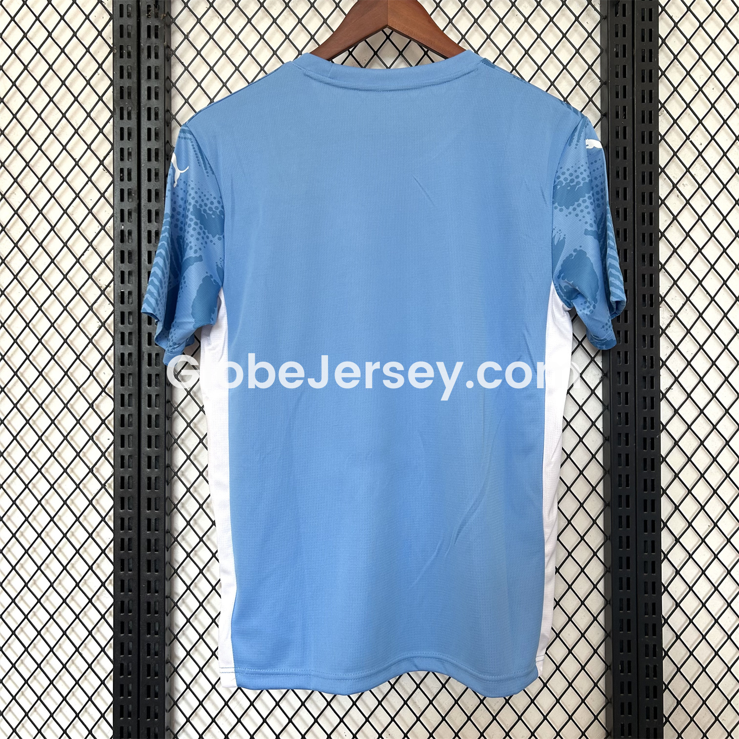 GlobeJersey-Palmeiras 25-26 Blue Goalkeeper Jersey - Fans Version