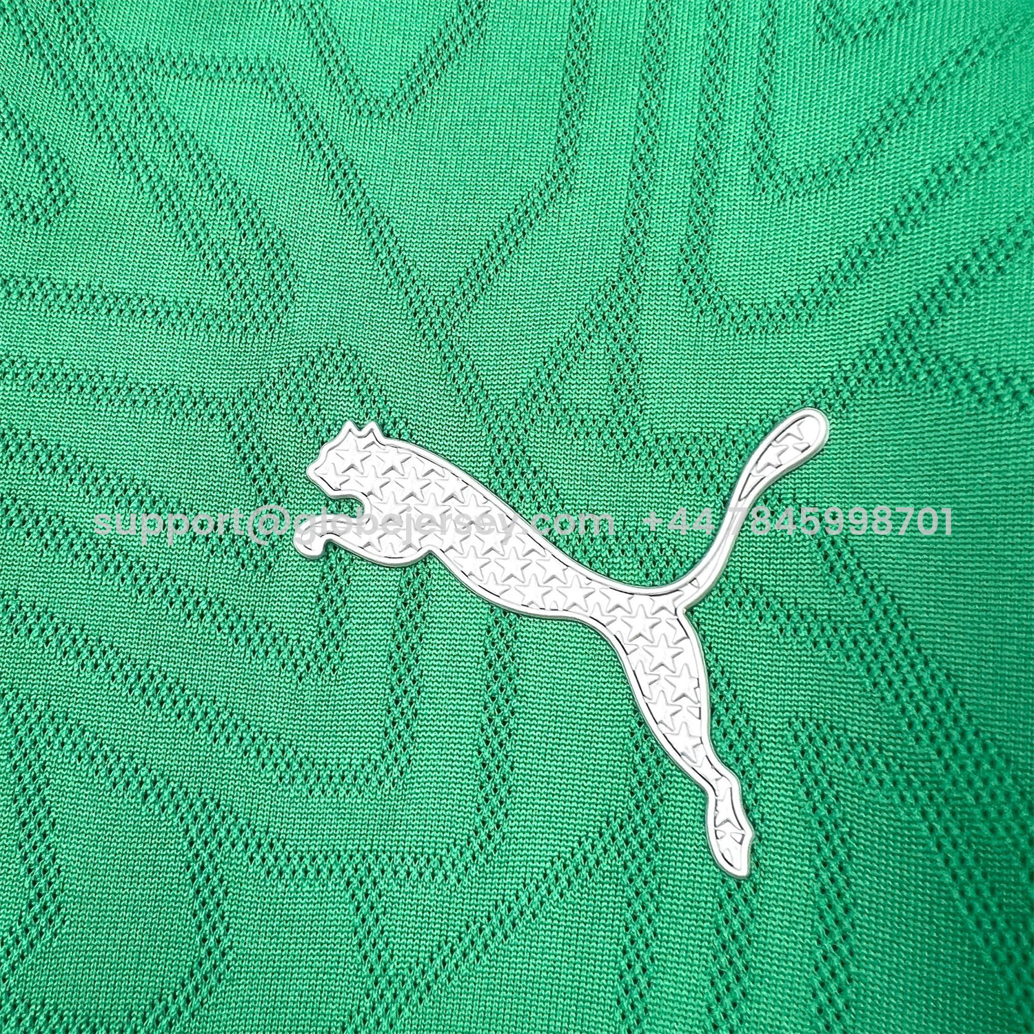 GlobeJersey-Palmeiras 25-26 Green Training Jersey - Fans Version