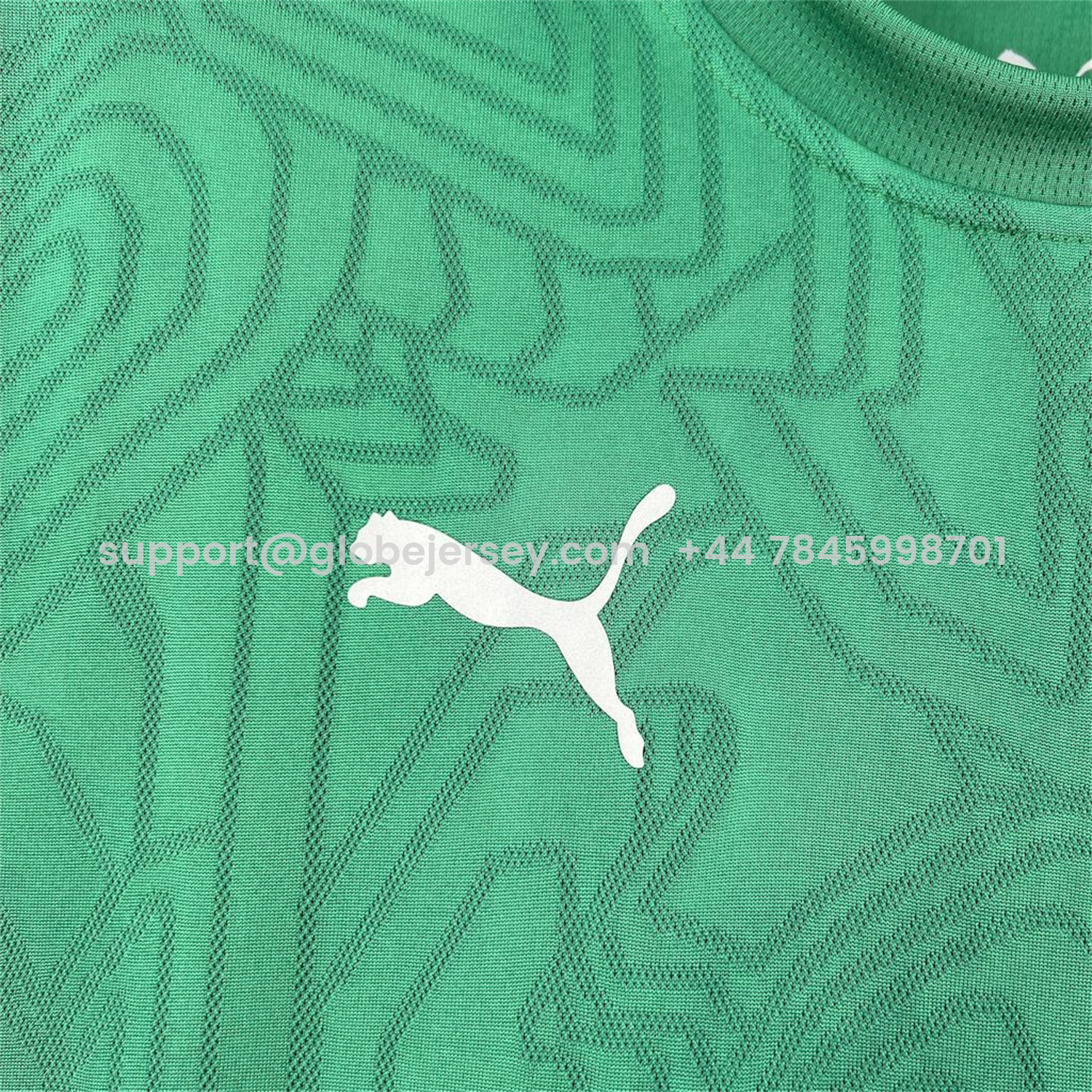 GlobeJersey-Fluminense 26-27 Green Pre-Match Jersey - Fans Version