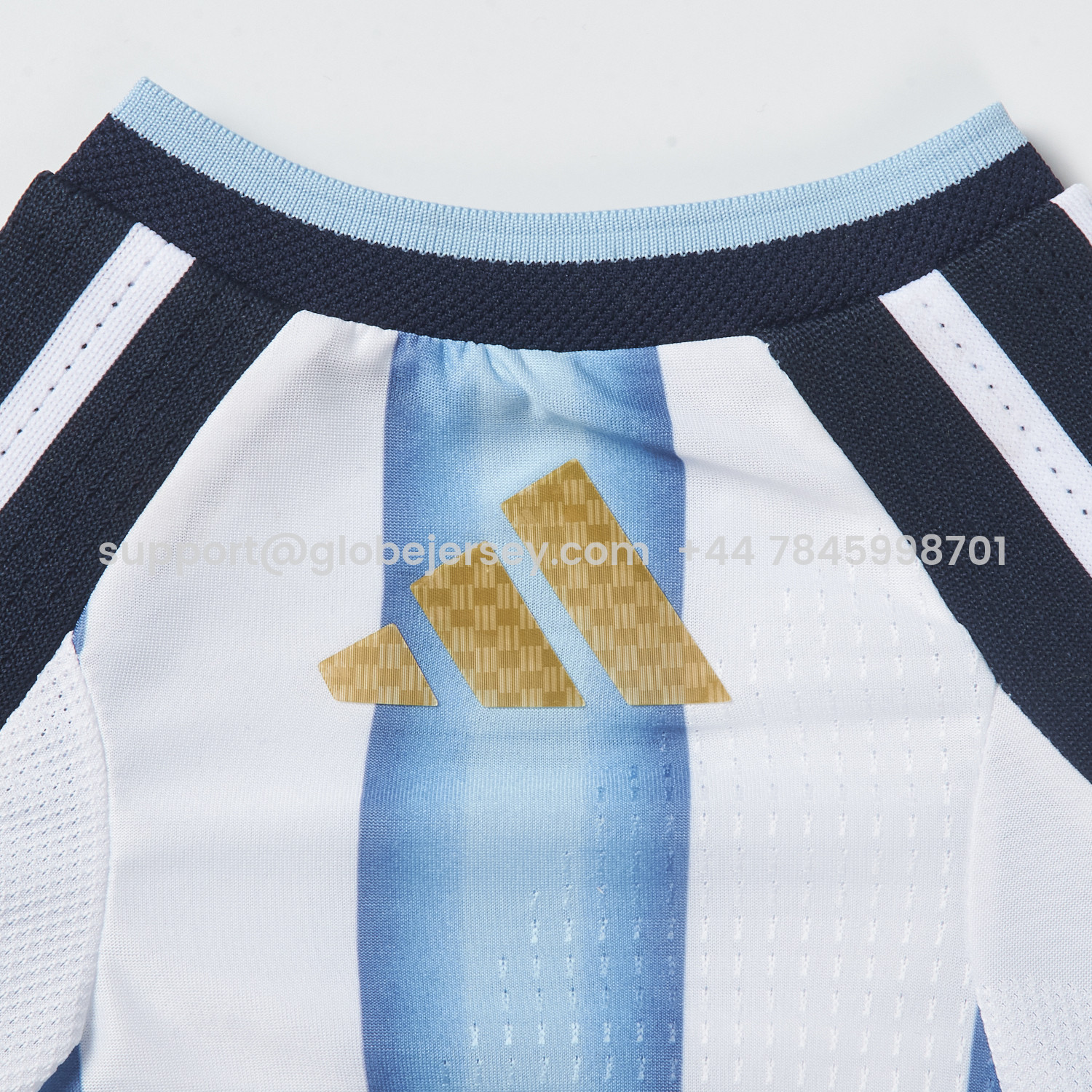 GlobeJersey-Argentina 2026 Home Pet Jersey - Player Version