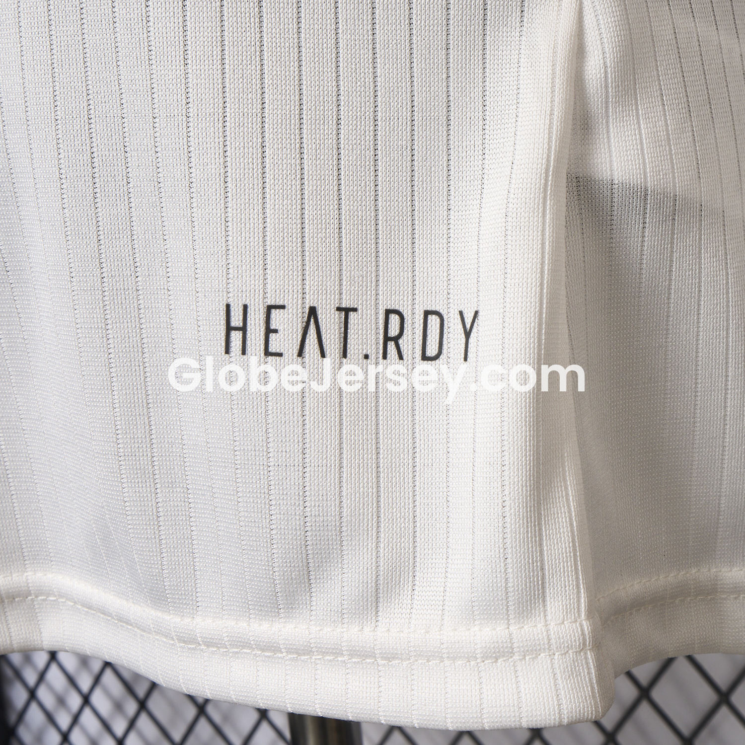 GlobeJersey-Germany 2025 125-Year Anniversary Commemorative Edition Long Sleeve Jersey - Player Version