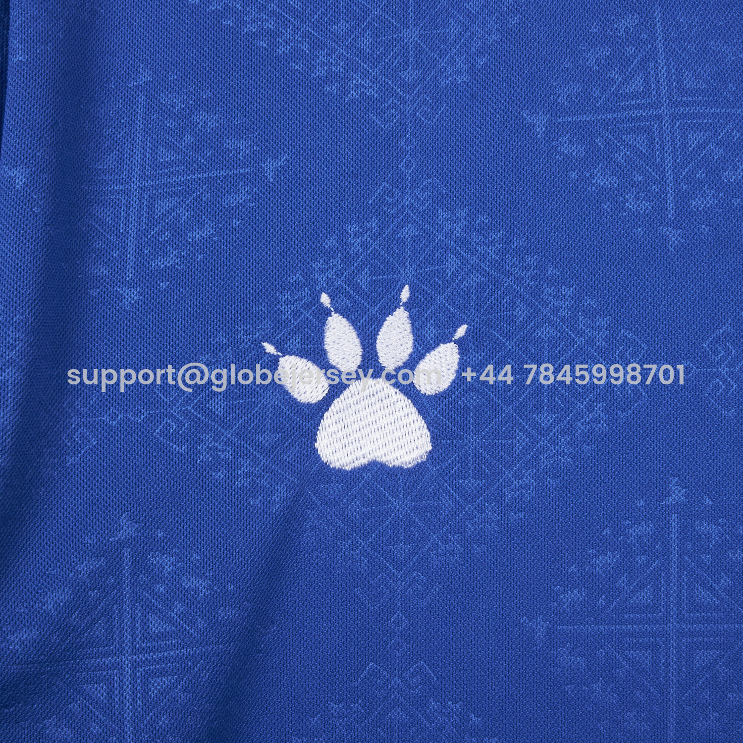 GlobeJersey-Bosnia and Herzegovina 2026 Home Jersey - Fans Version