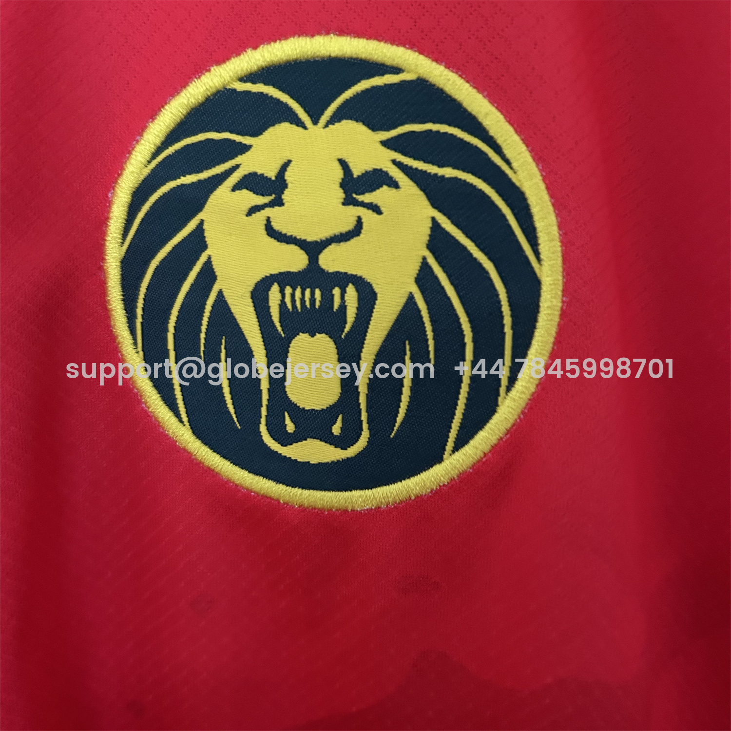 GlobeJersey-Cameroon 25-26 Away Jersey - Fans Version