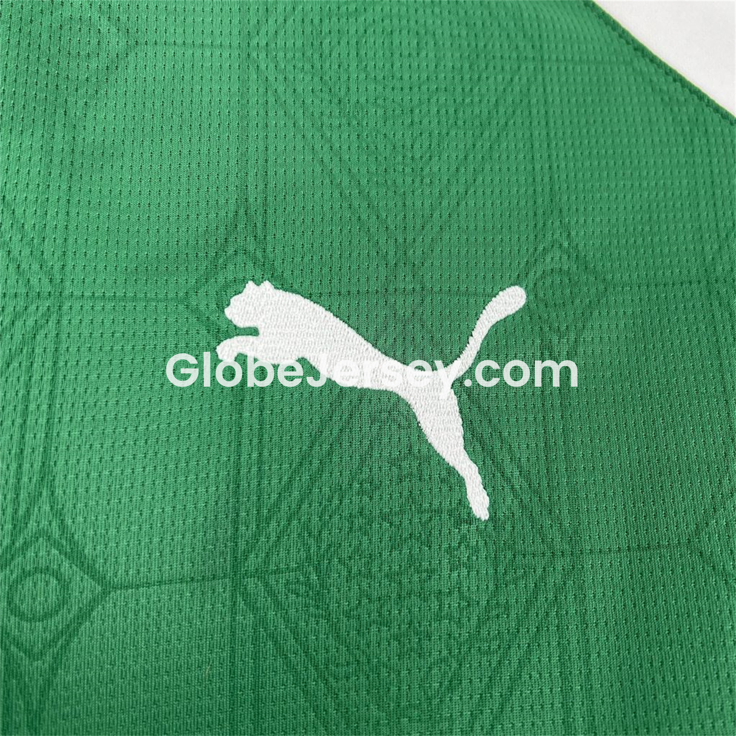 GlobeJersey-Palmeiras 25-26 Home Jersey - Fans Version