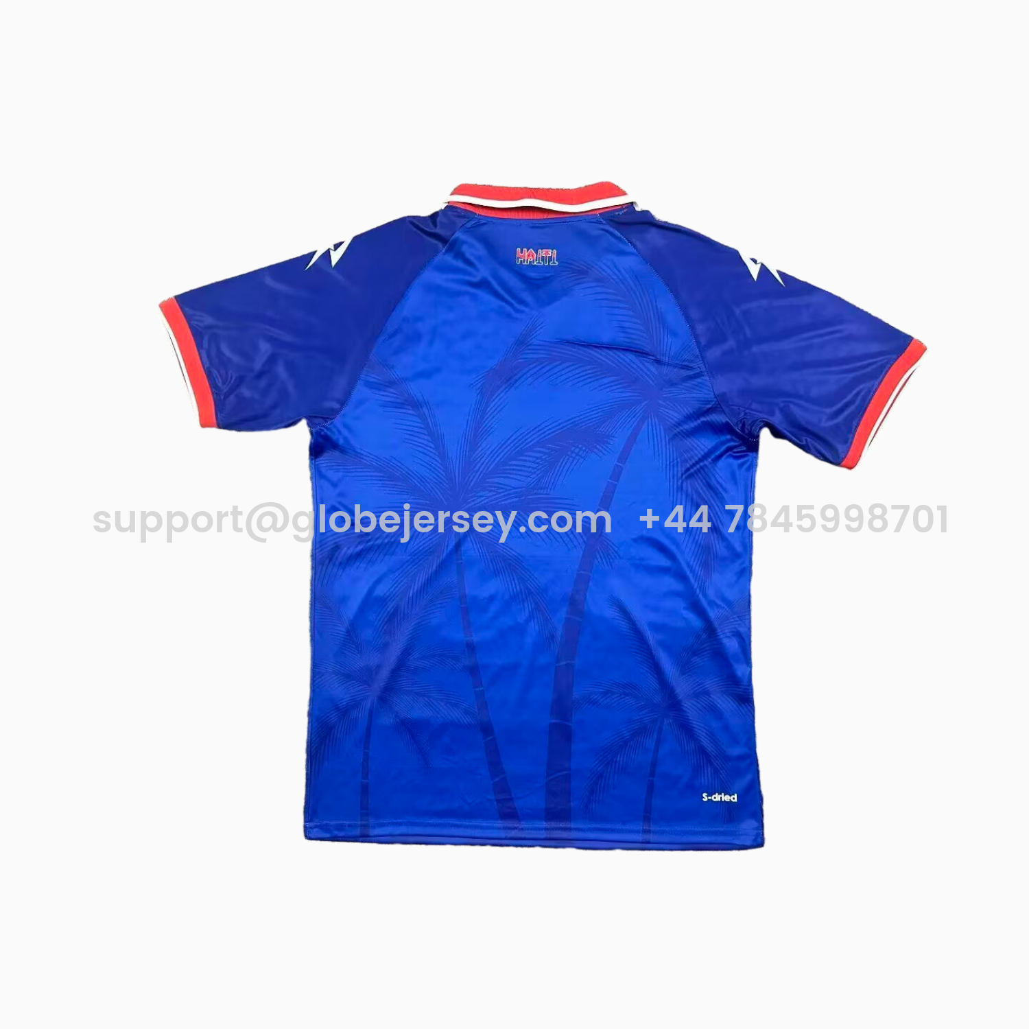 GlobeJersey-Haiti 26-27 Home Jersey - Fans Version