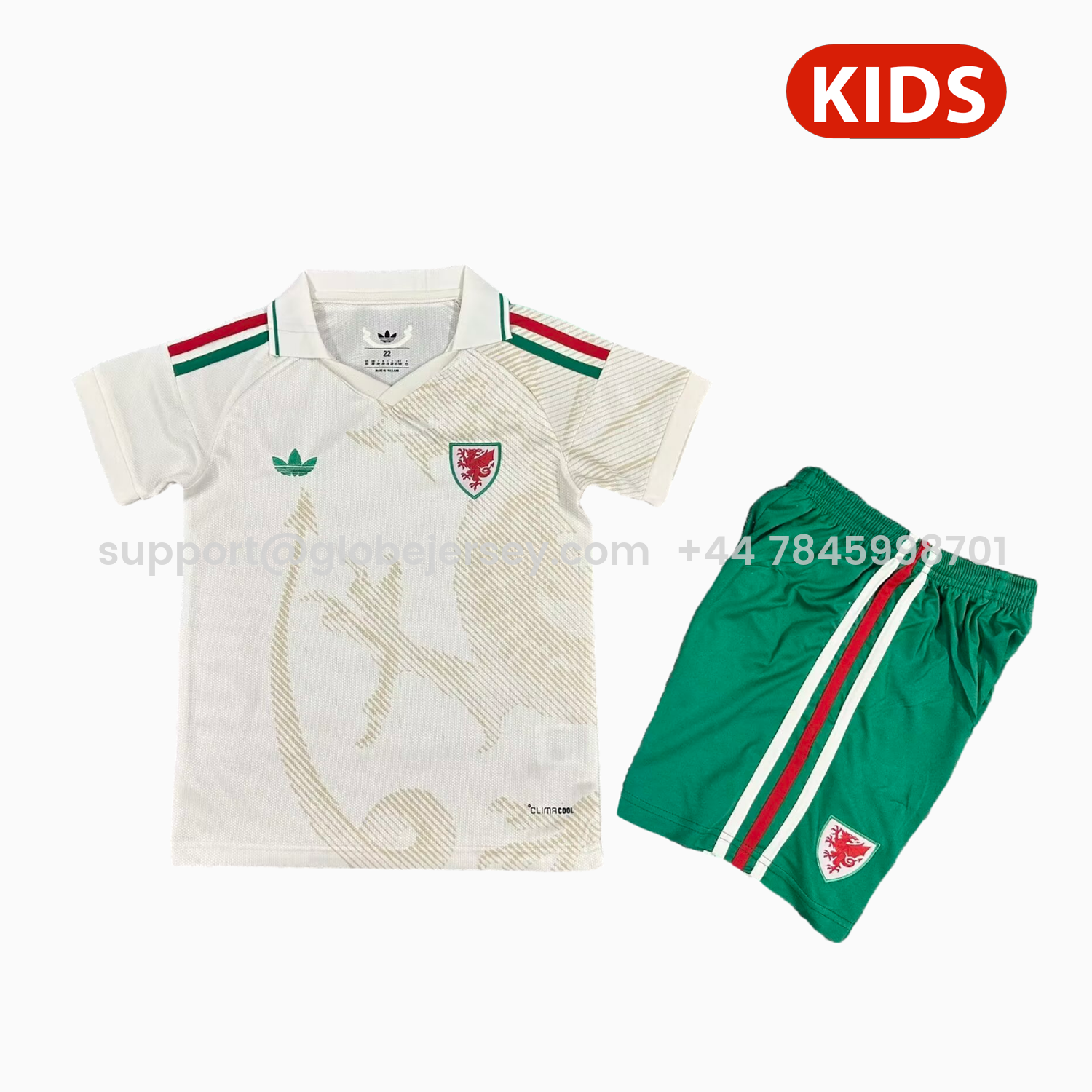 GlobeJersey-Wales 2026 Away Kids Kit