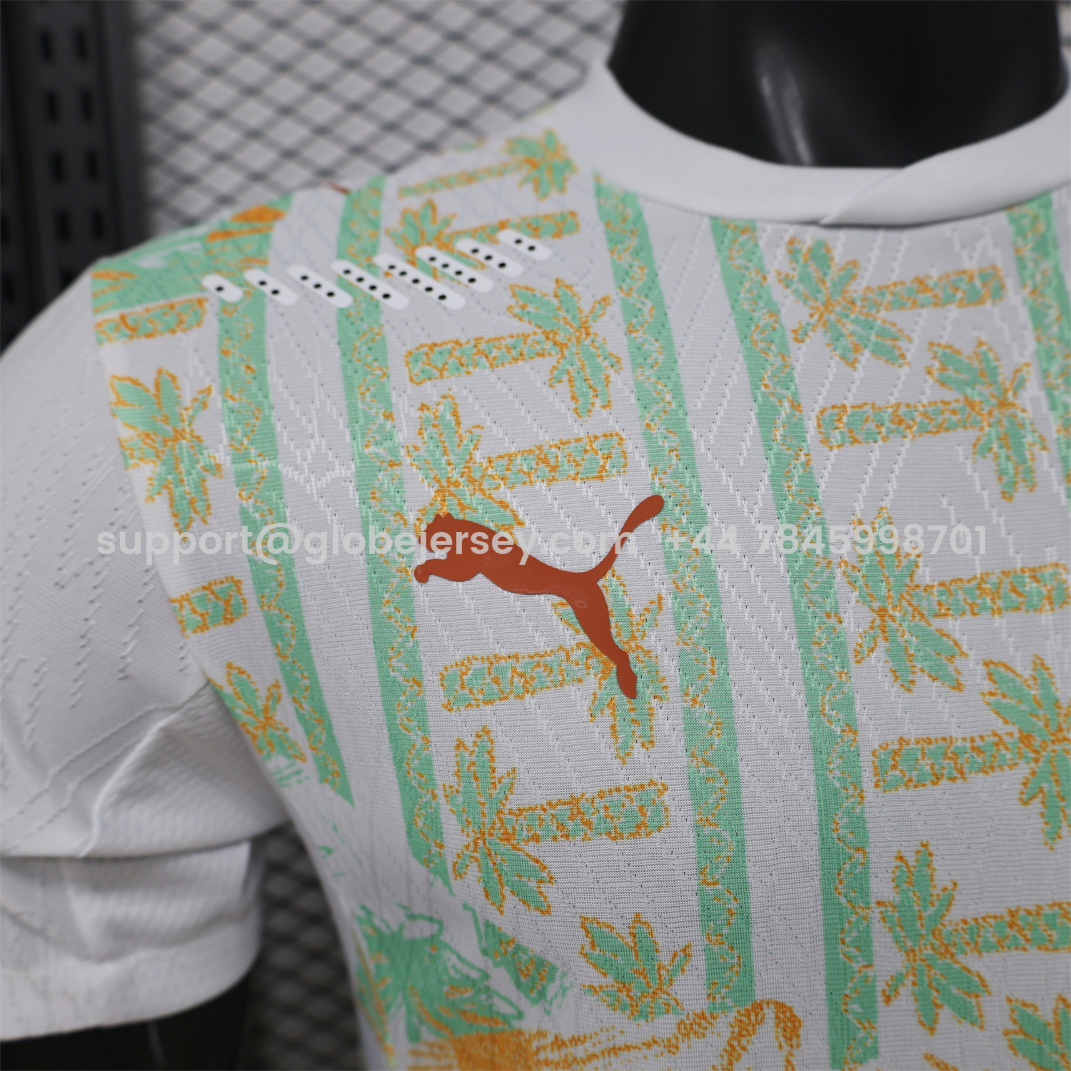 GlobeJersey-Ivory Coast 2026 Away Jersey - Player Version