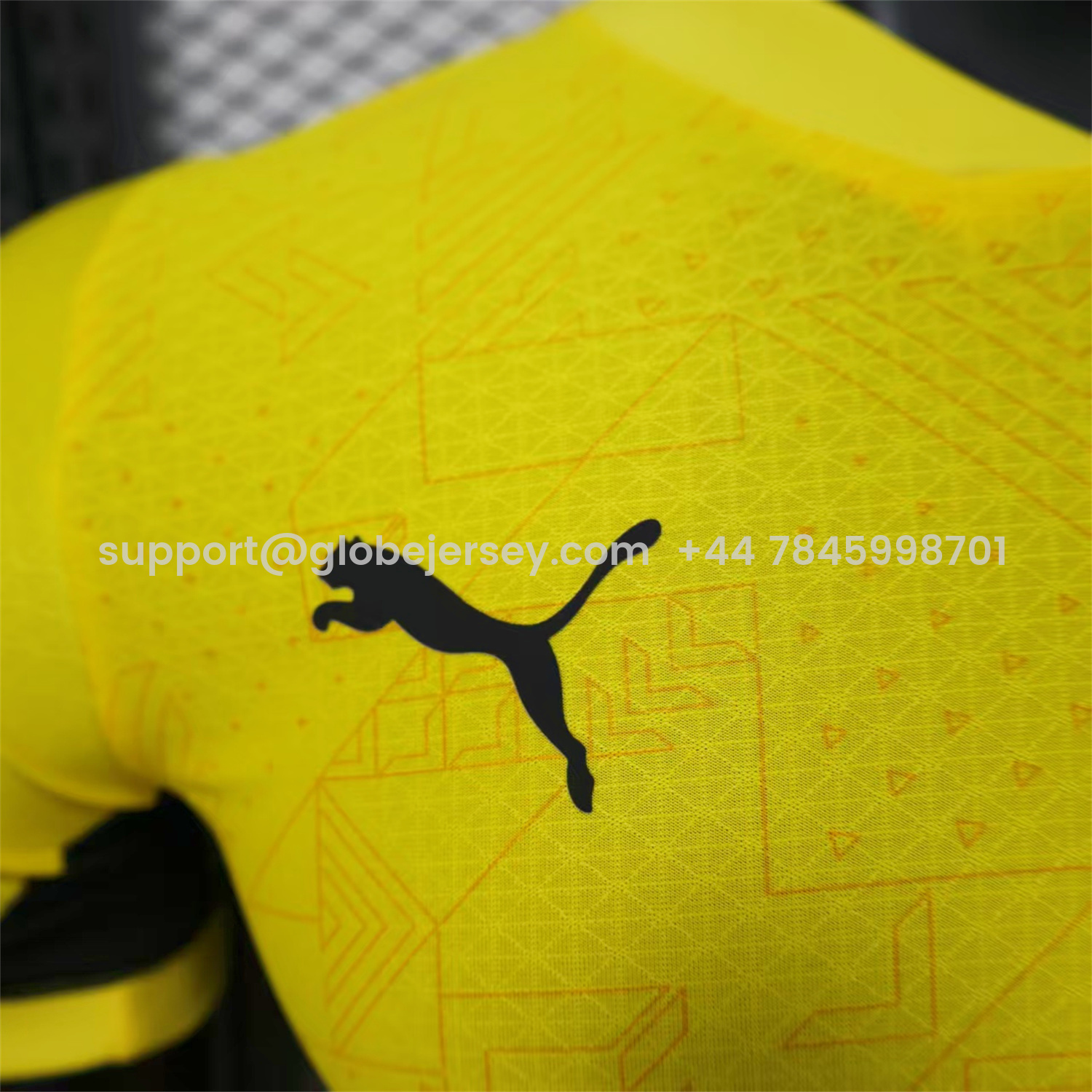GlobeJersey-Malaysia 25-26 Home Jersey - Player Version