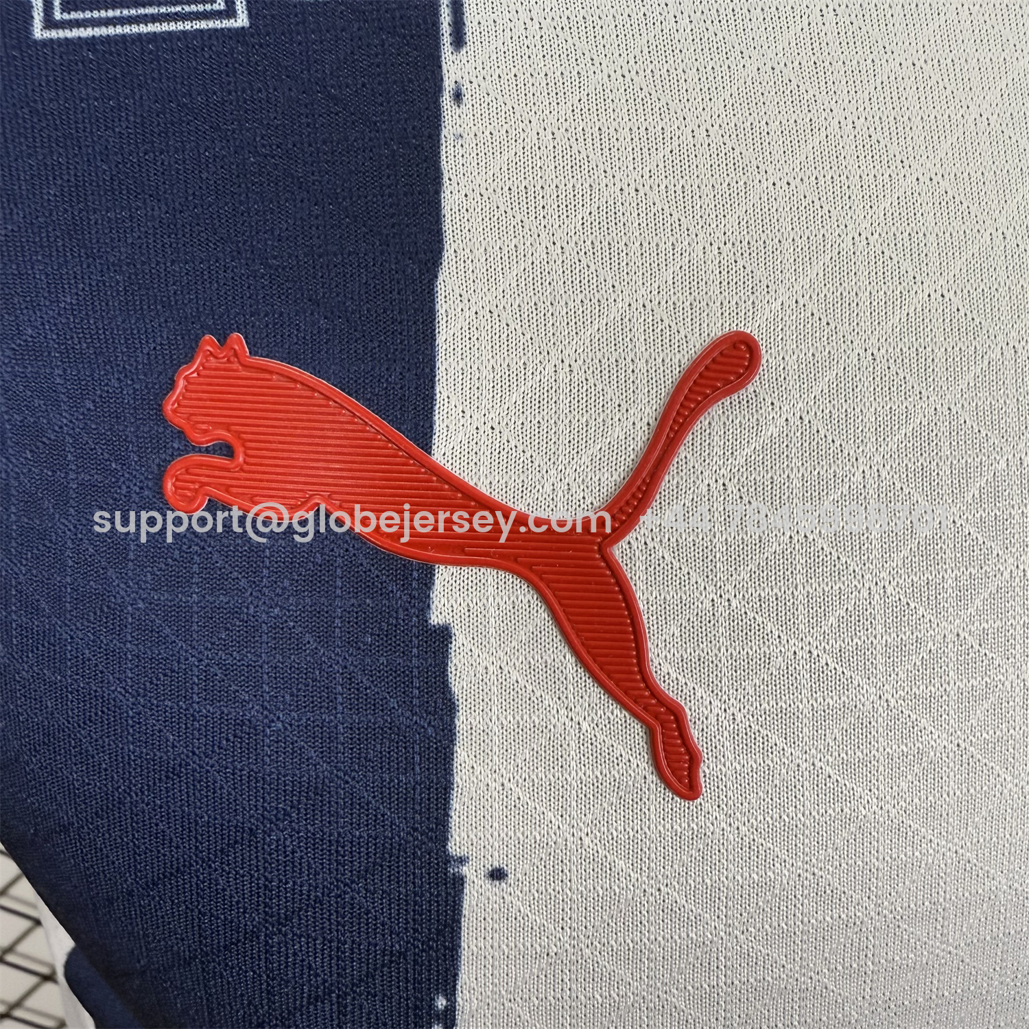 GlobeJersey-Rayados Monterrey 25-26 Home Stripes Jersey - Player Version