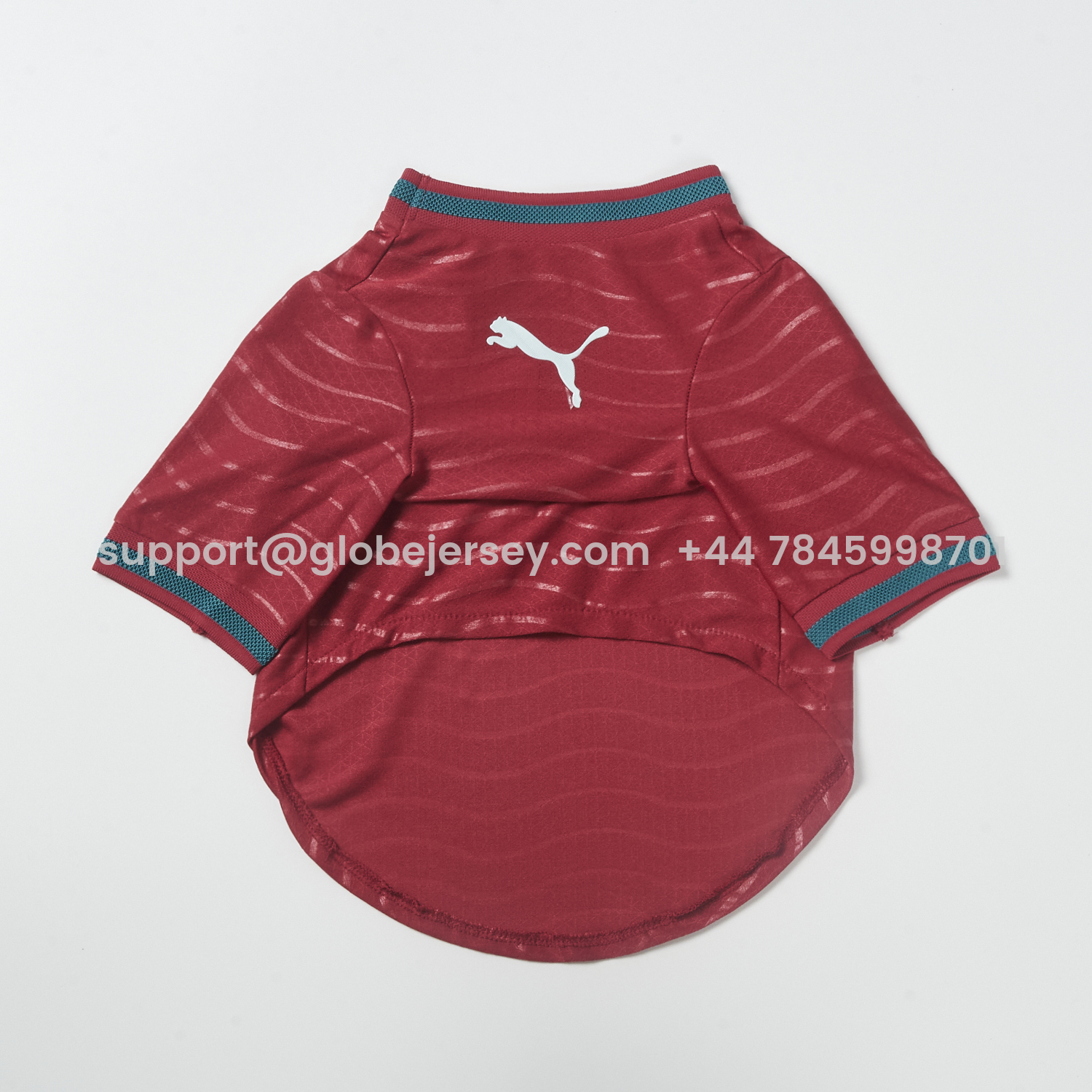 GlobeJersey-Portugal 2026 Home Pet Jersey - Player Version