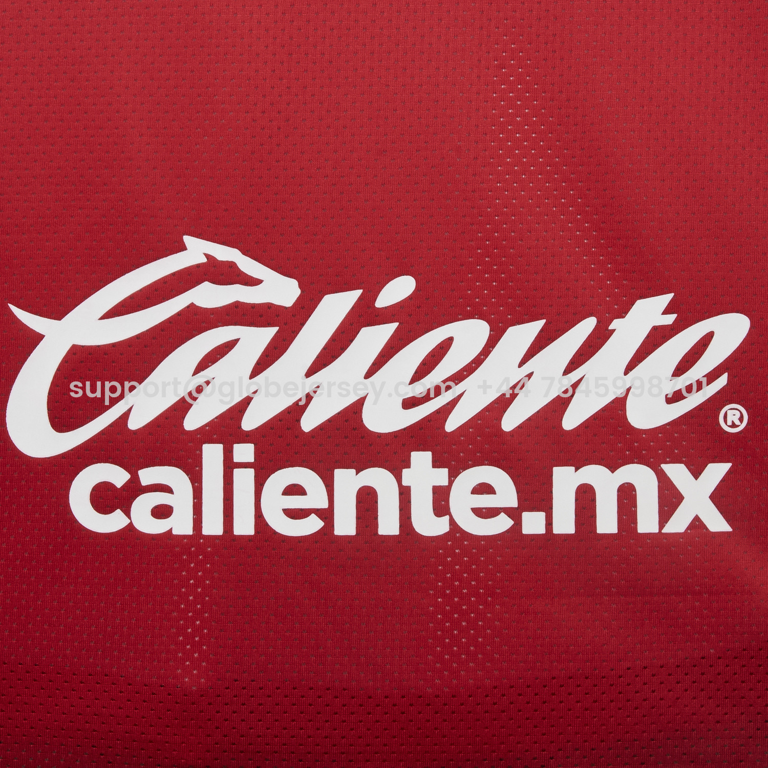 GlobeJersey-Toluca 25-26 Red Special Jersey - Fans Version