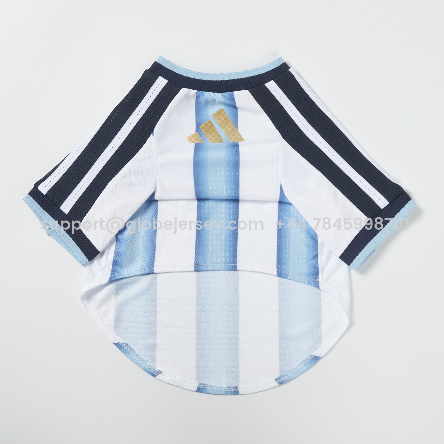 GlobeJersey-Argentina 2026 Home Pet Jersey - Player Version