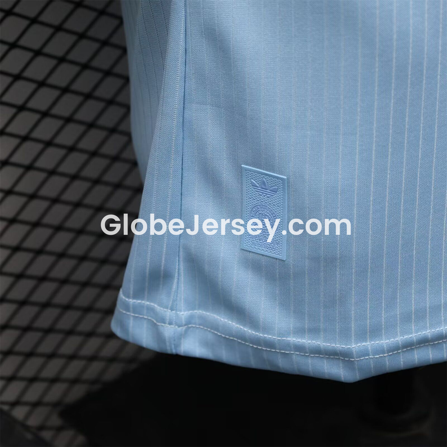 GlobeJersey-Germany 2025 125-Year Anniversary GK Blue Jersey - Player Version