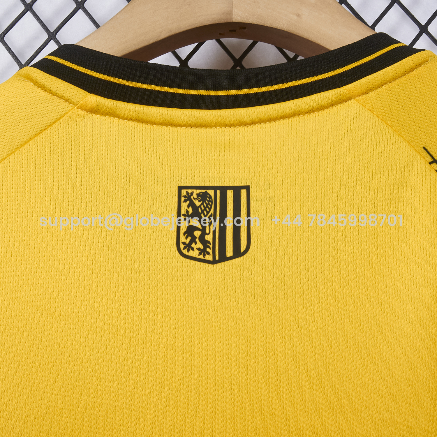 GlobeJersey-Dynamo Dresden 25-26 HATE RACISM Special Jersey - Fans Version