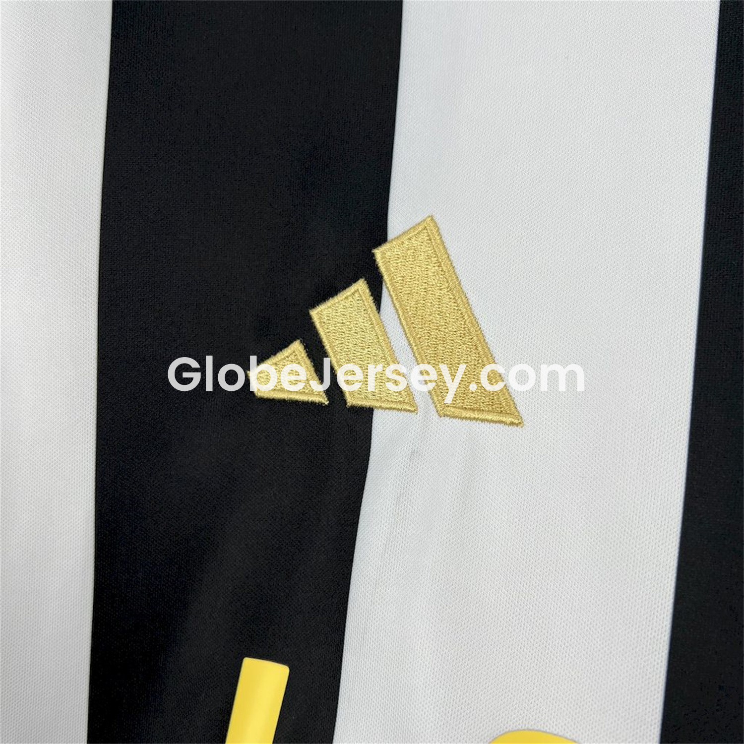 GlobeJersey-Pio FC 2025 Home Jersey - Fans Version