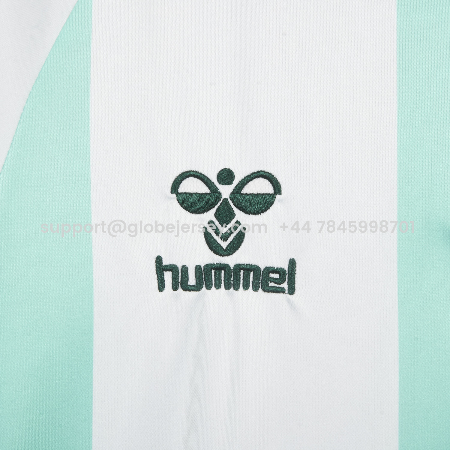 GlobeJersey-Werder Bremen 25-26 Green And White Special Jersey - Fans Version