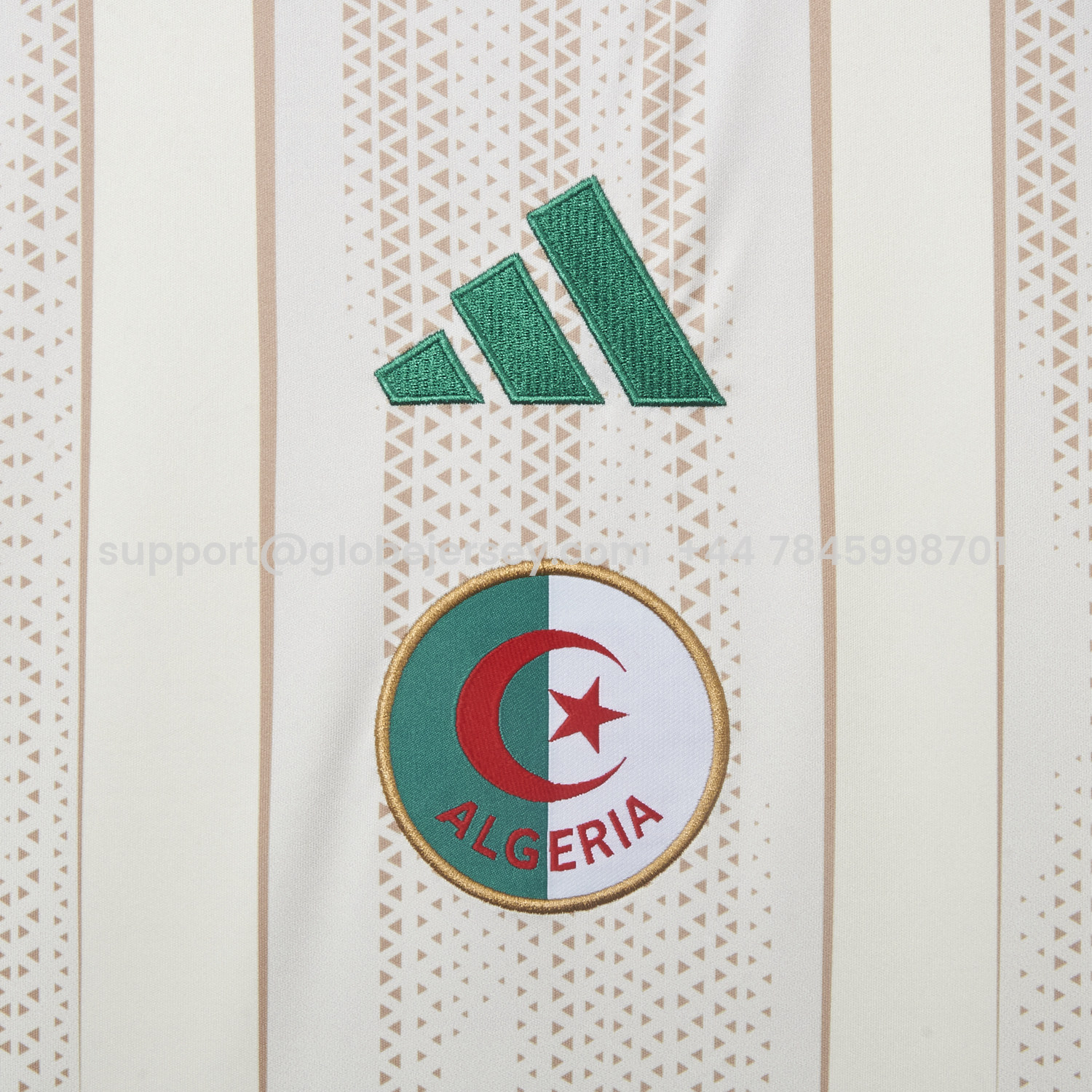 GlobeJersey-Algeria 2026 Home Jersey - Fans Version