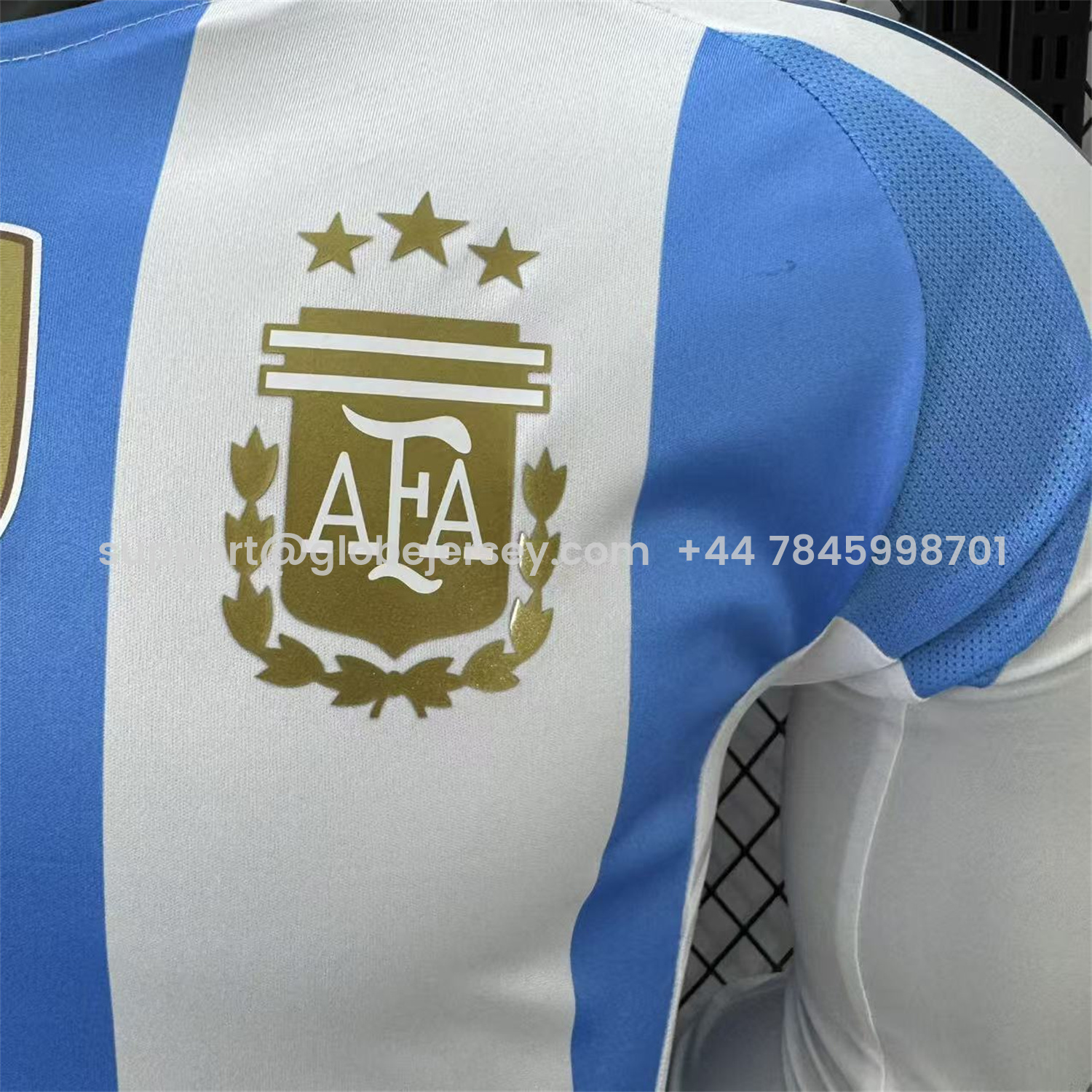 GlobeJersey-Argentina 2024 Home Long Sleeves Jersey - Player Version